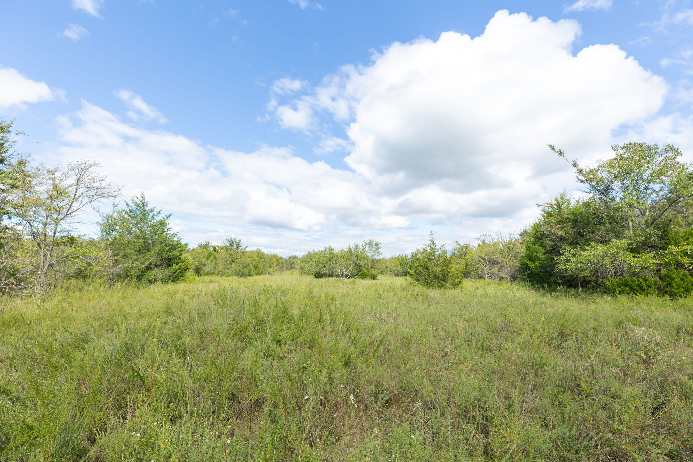 Reserves At Cattail Cove Phase II Tract 93 photo 11