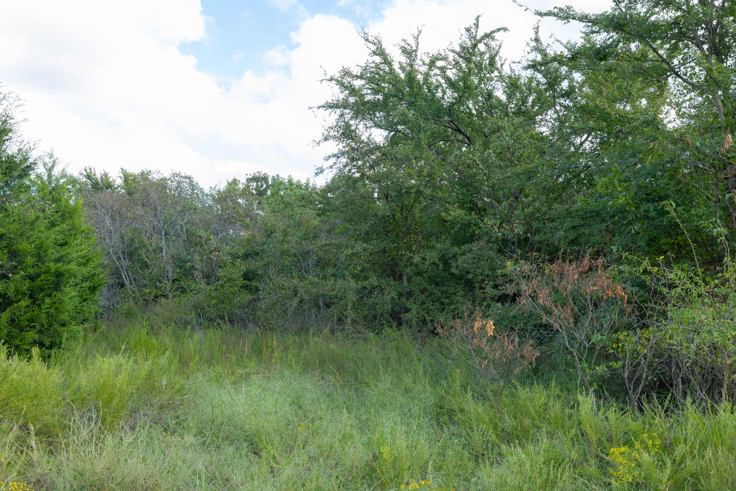 Reserves At Cattail Cove Phase II Tract 93 photo 10