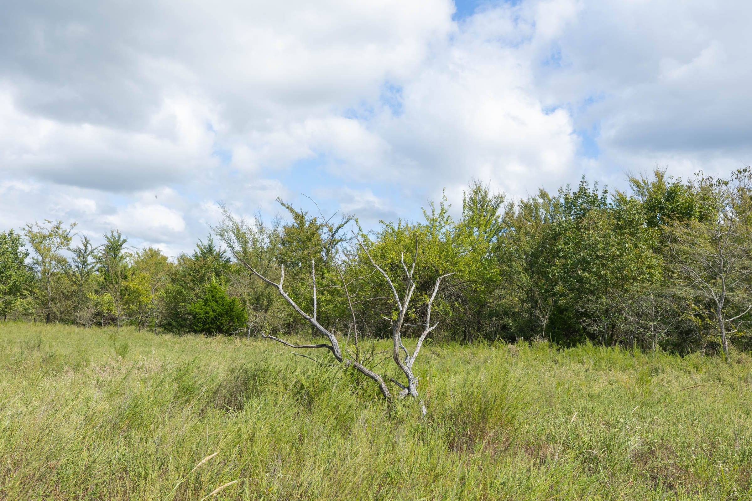 Reserves At Cattail Cove Phase II Tract 93 photo 9