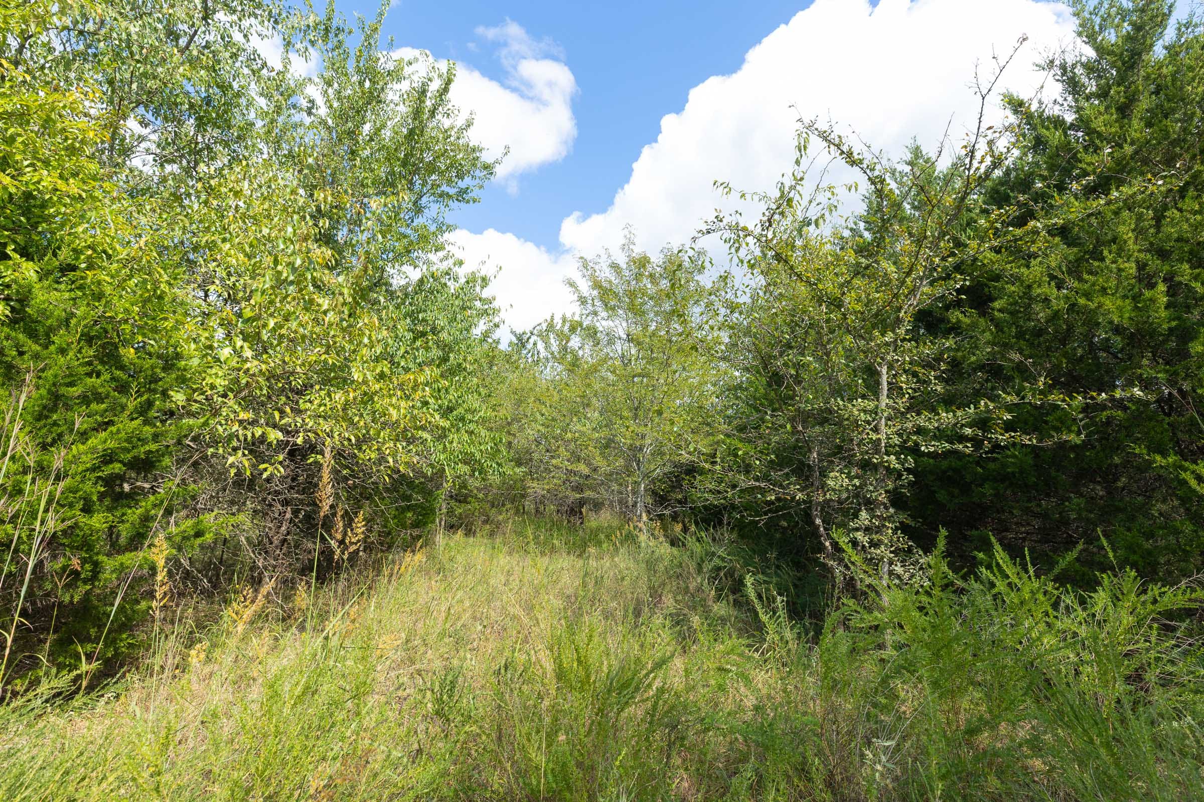 Reserves At Cattail Cove Phase II Tract 93 photo 8