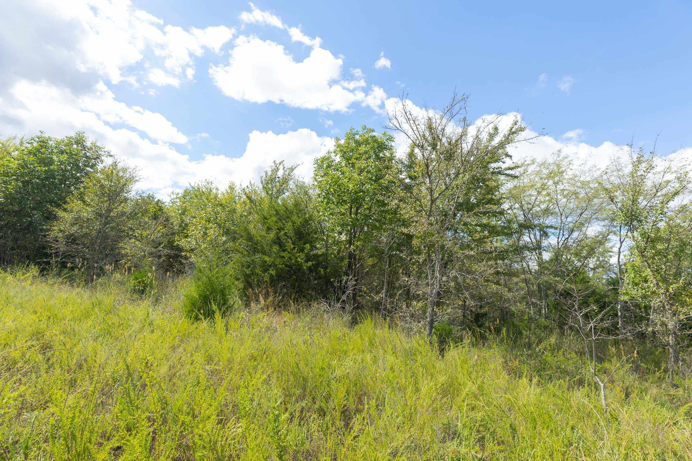 Reserves At Cattail Cove Phase II Tract 93 photo 6