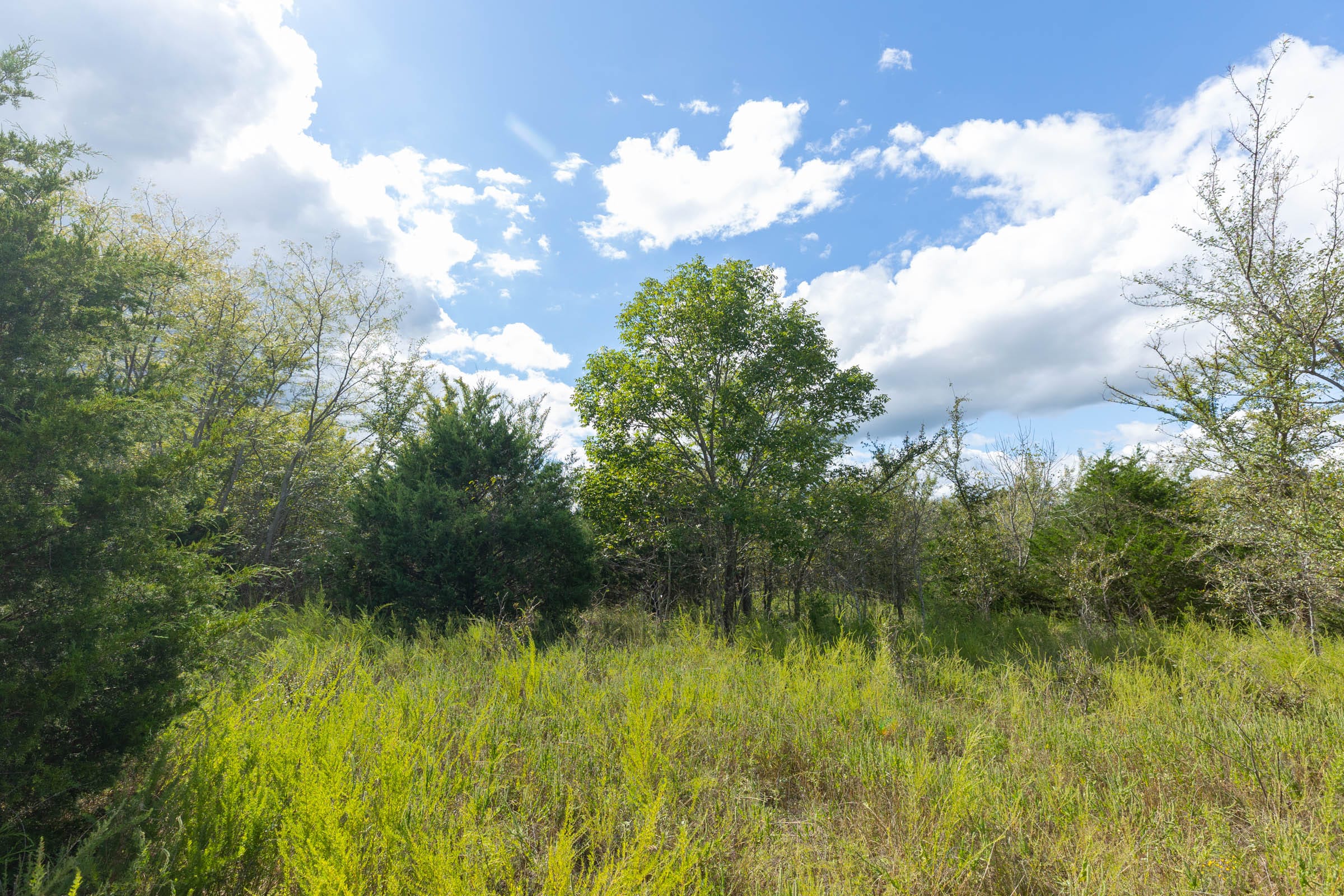 Reserves At Cattail Cove Phase II Tract 93 photo 5