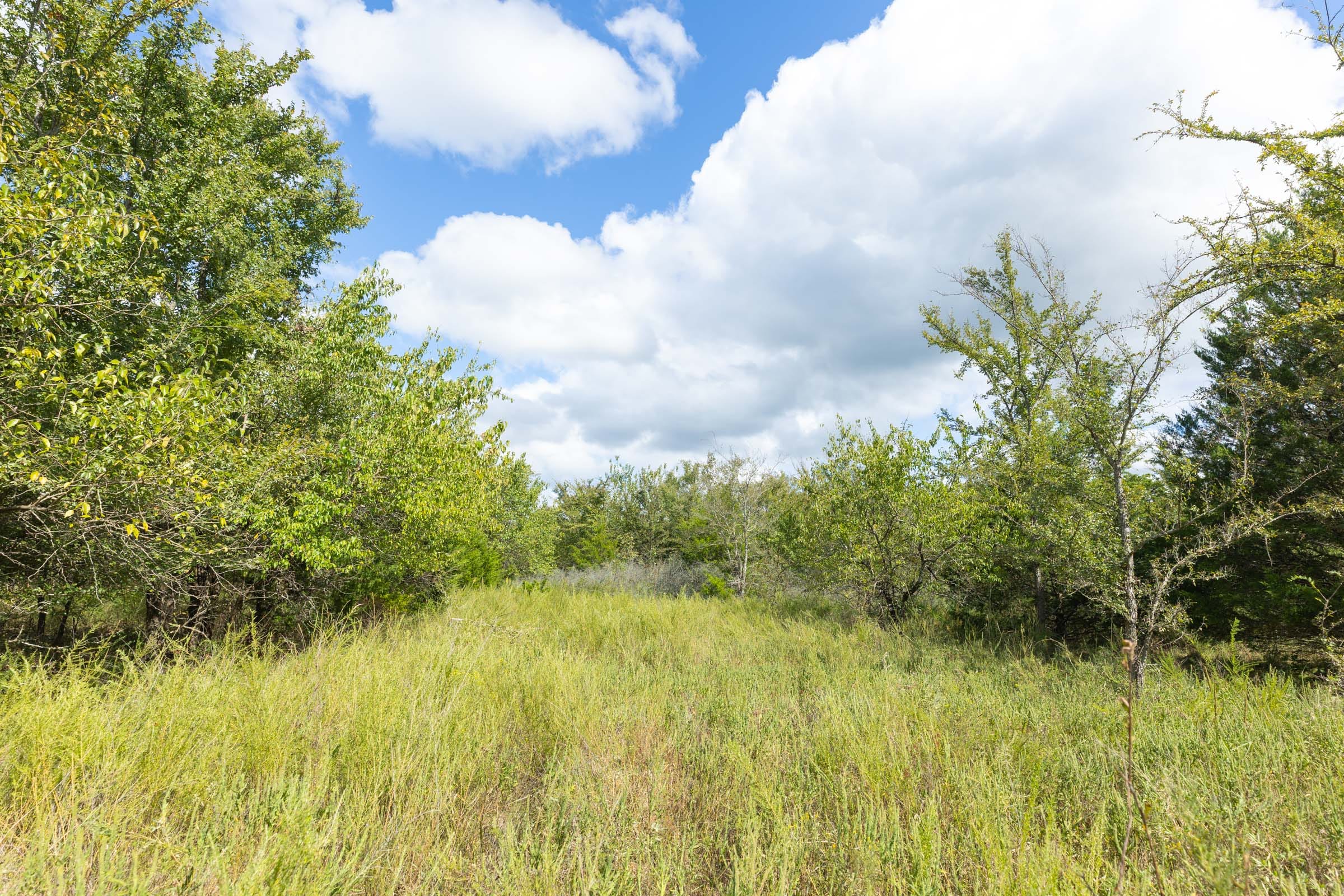 Reserves At Cattail Cove Phase II Tract 93 photo 4