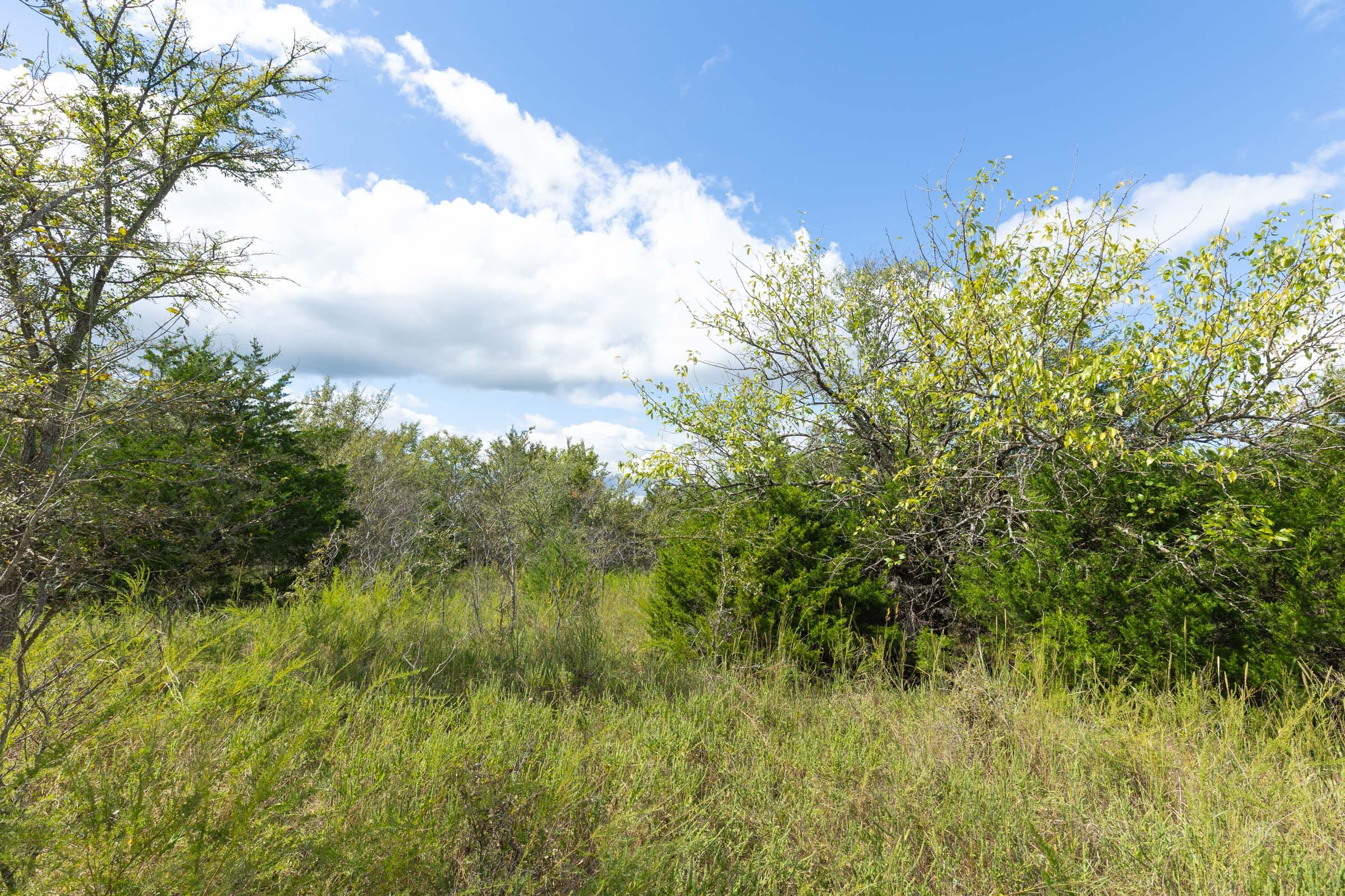 Reserves At Cattail Cove Phase II Tract 93 photo 3