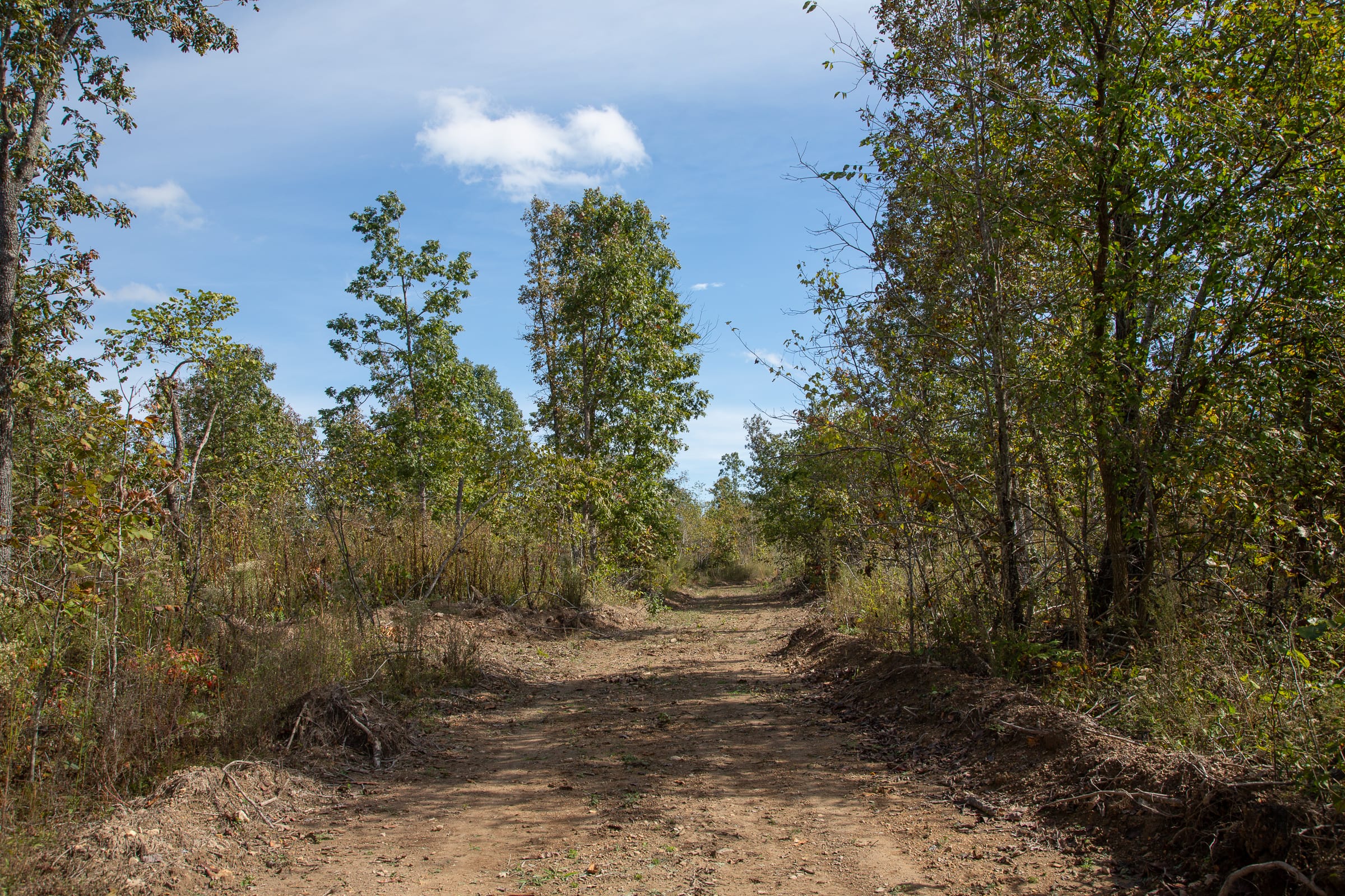 Borgmann’s Hollow Phase IV Tract 117 photo 1