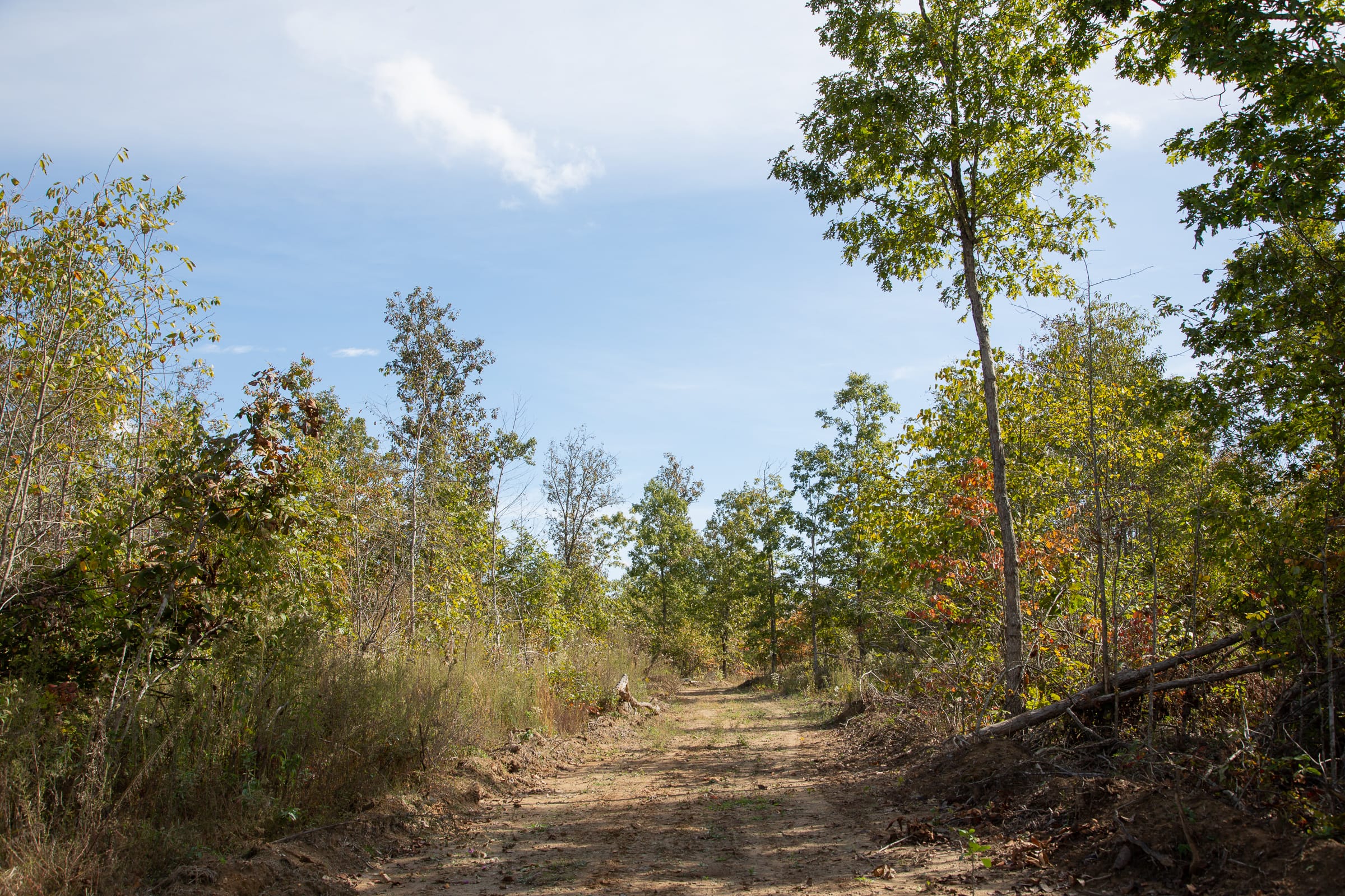 Borgmann’s Hollow Phase IV Tract 117 photo 5