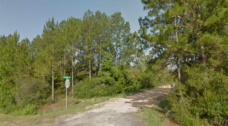Bay County Tract 33 photo 4