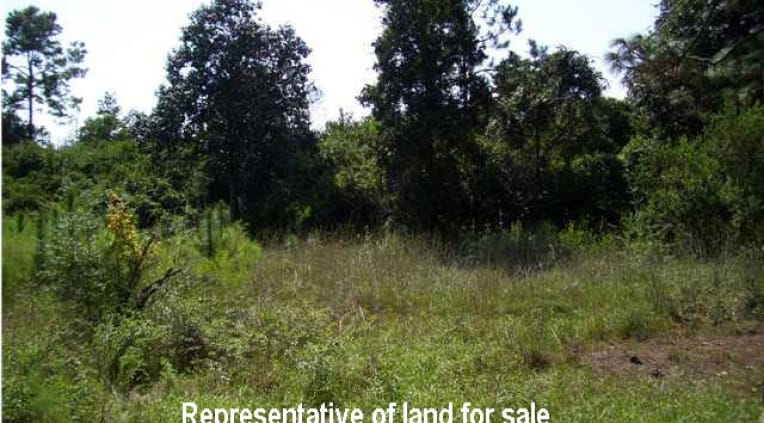 Bay County Tract 33 photo 3
