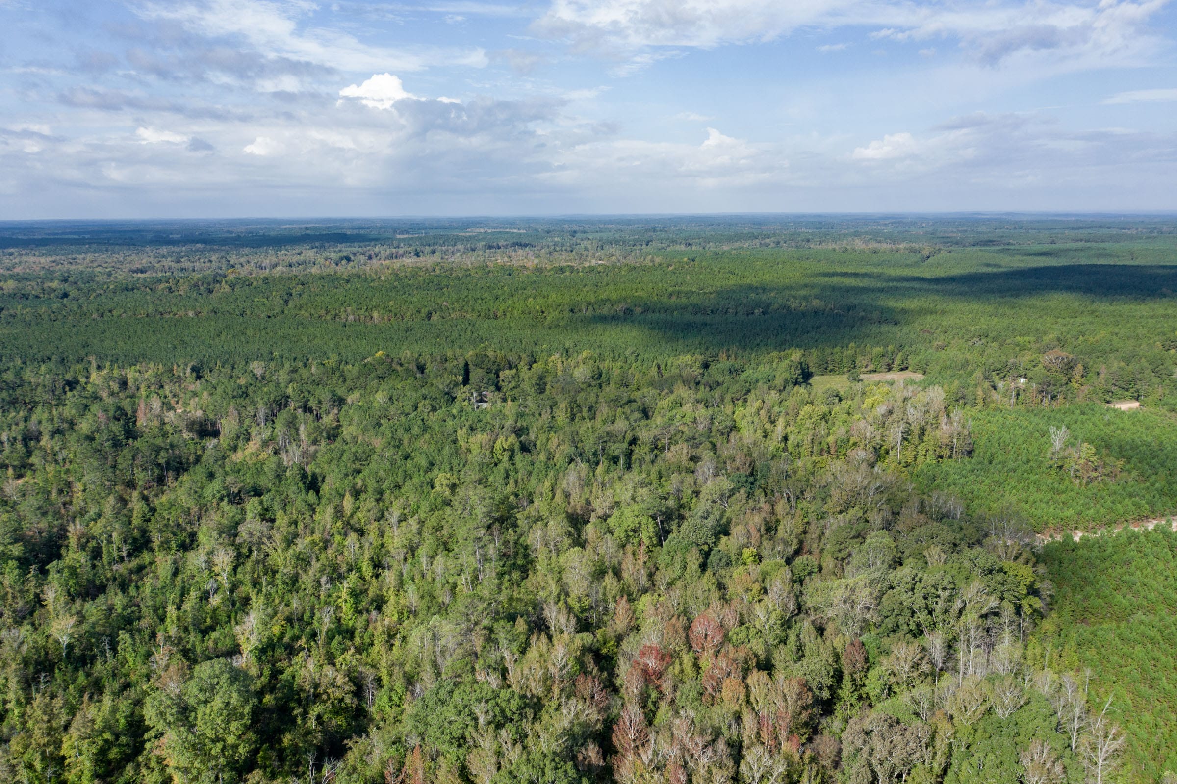 Brentwood Tract 11 photo 6