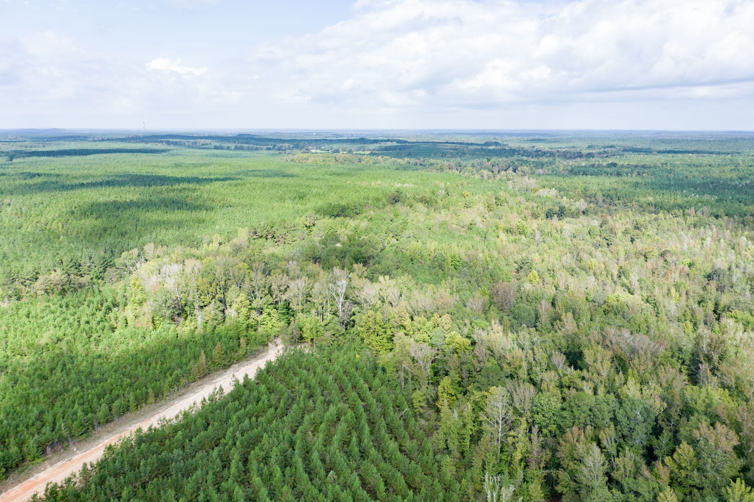 Brentwood Tract 11 photo 7