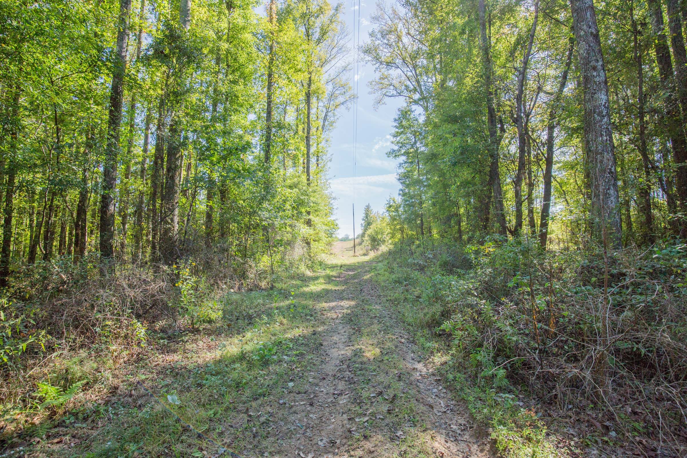 Brentwood Tract 11 photo 1