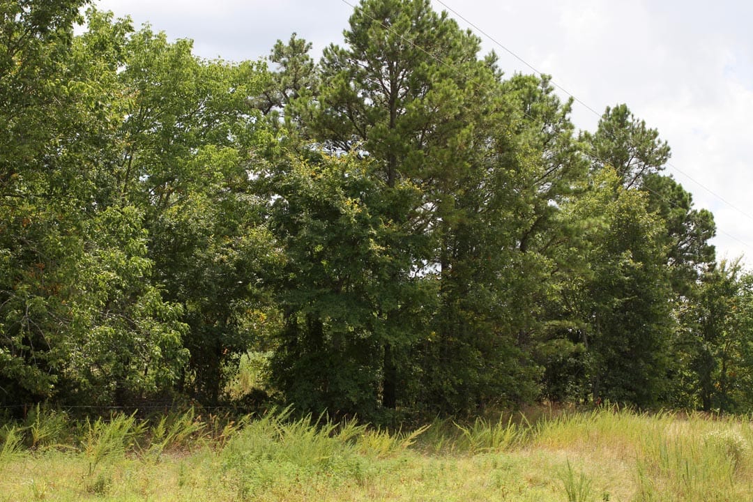 Lakeview Private Reserve Tract 9 photo 4