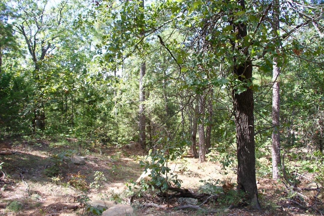 Lakeview Private Reserve Tract 9 photo 6