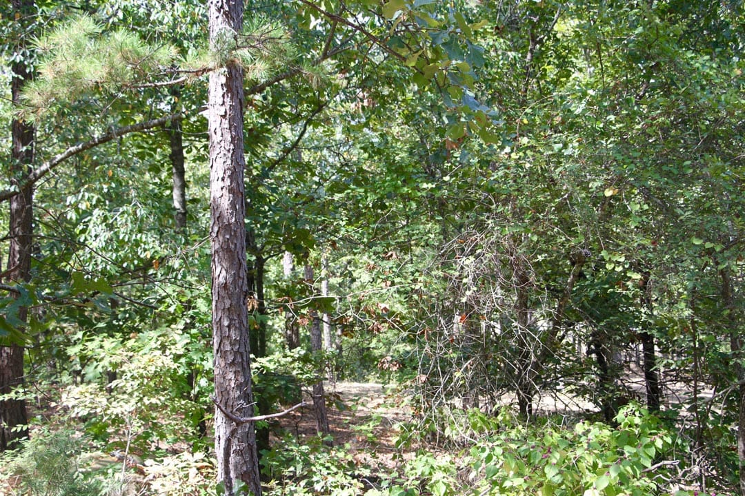 Lakeview Private Reserve Tract 9 photo 7