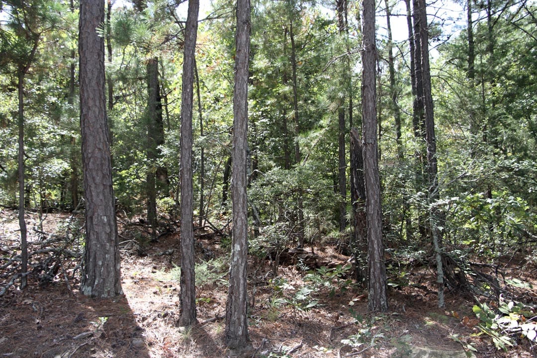 Lakeview Private Reserve Tract 9 photo 8