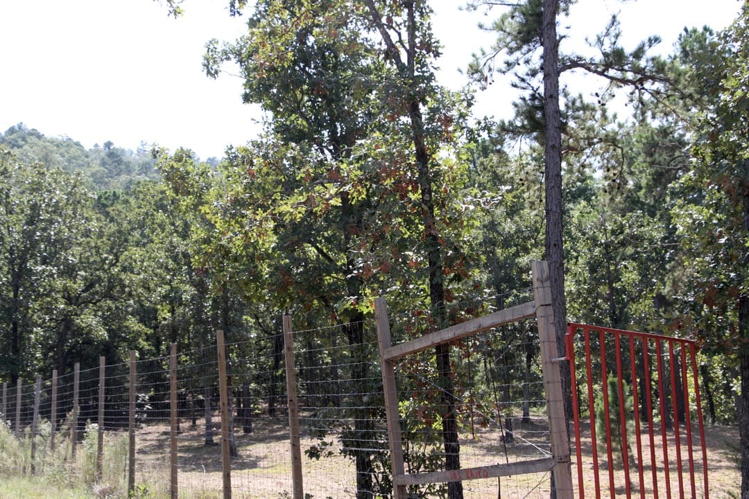 Lakeview Private Reserve Tract 9 photo 10