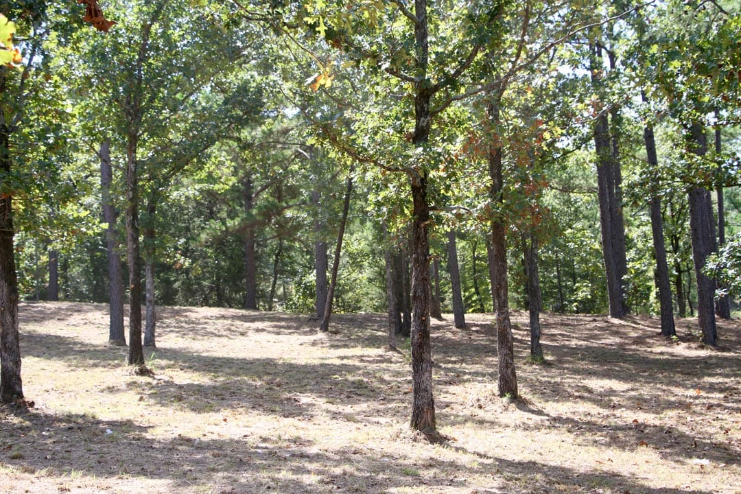 Lakeview Private Reserve Tract 9 photo 12