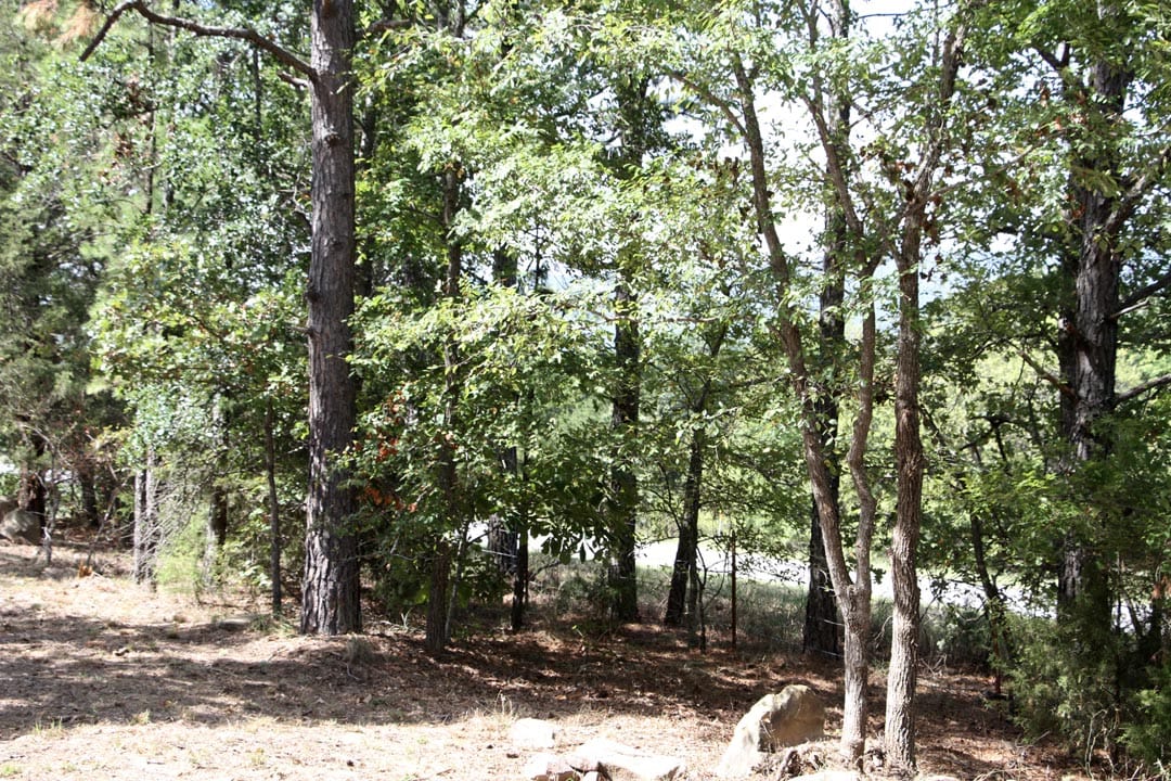 Lakeview Private Reserve Tract 9 photo 13