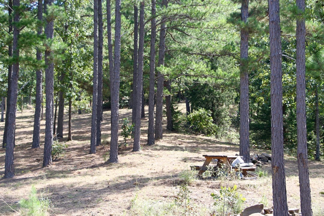 Lakeview Private Reserve Tract 9 photo 15
