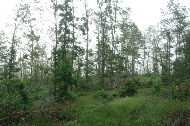 Deer Valley Tract 16 photo 2