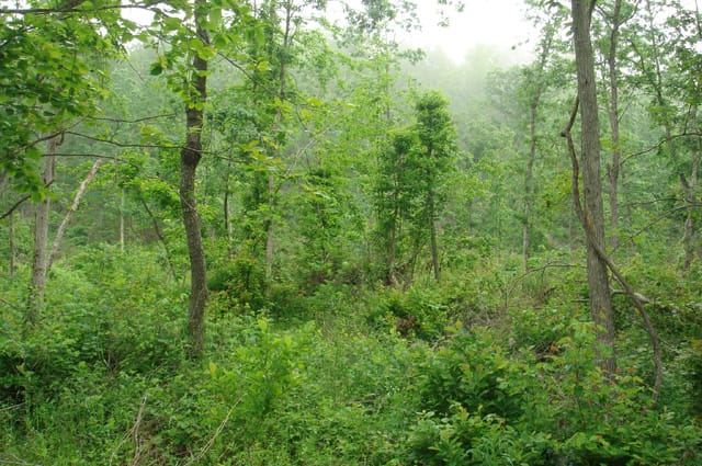 Deer Valley Tract 16 photo 3