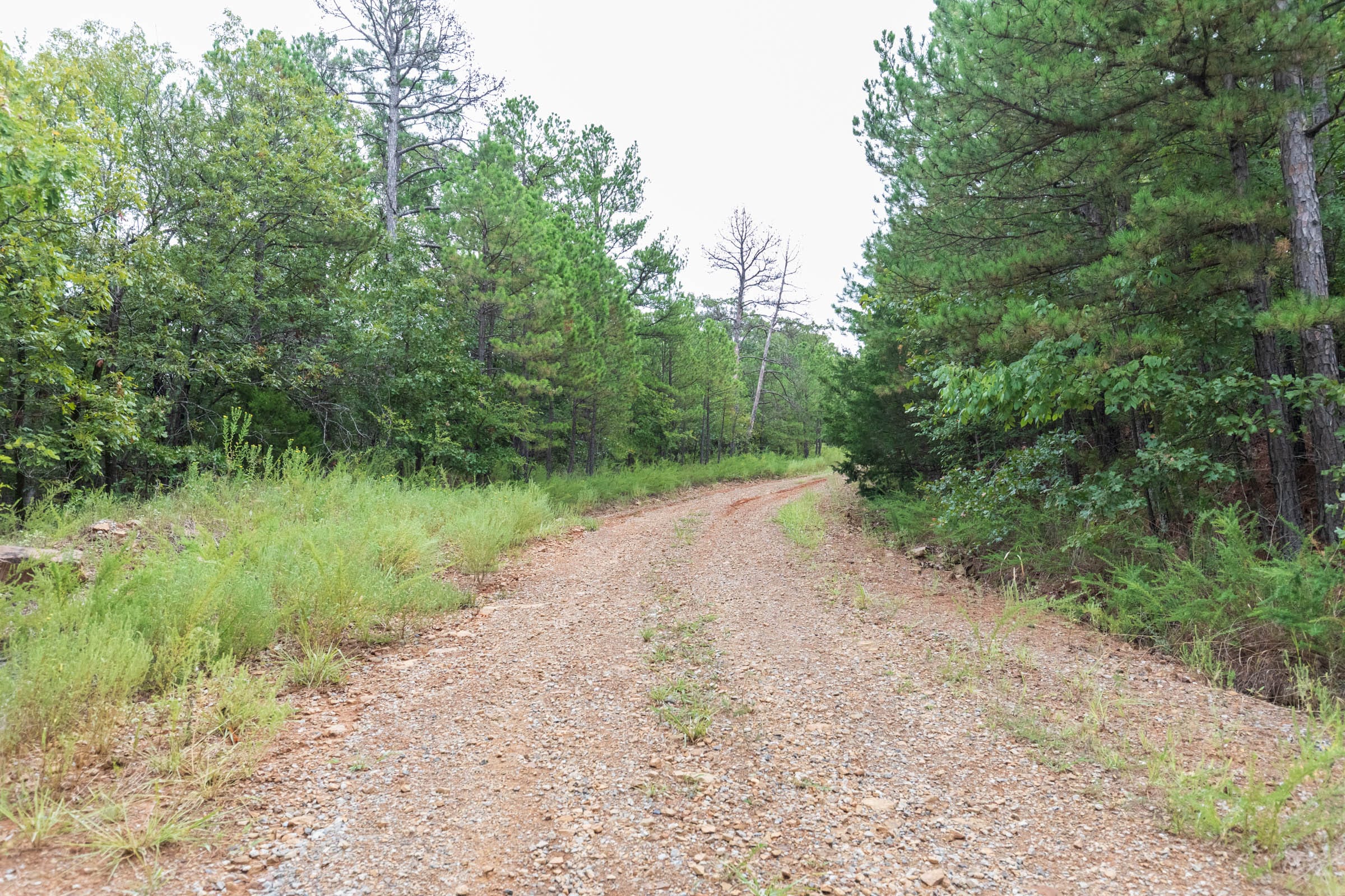 Stone Bridge Phase V Tract 327 photo 11