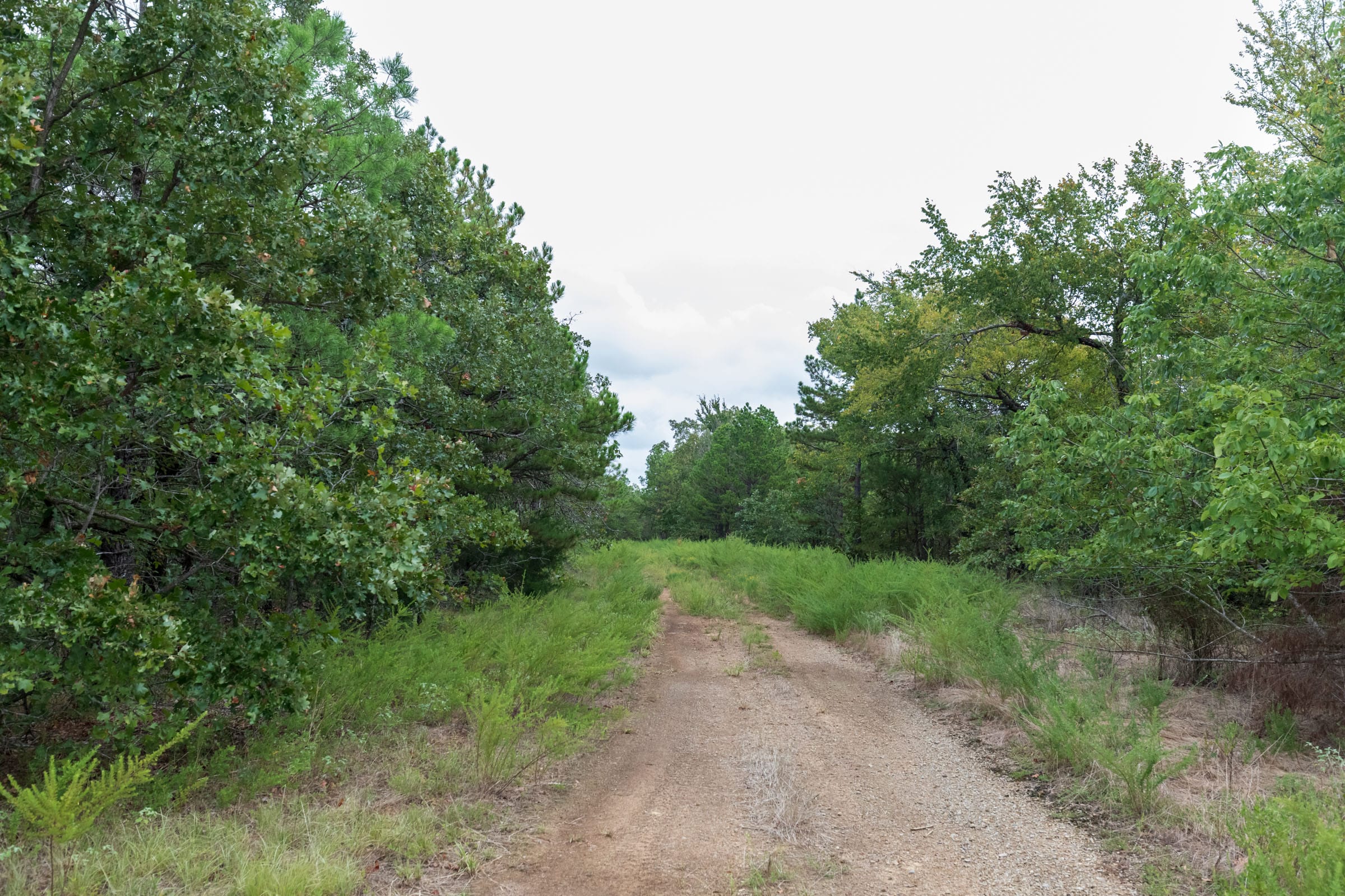 Stone Bridge Phase V Tract 327 photo 8