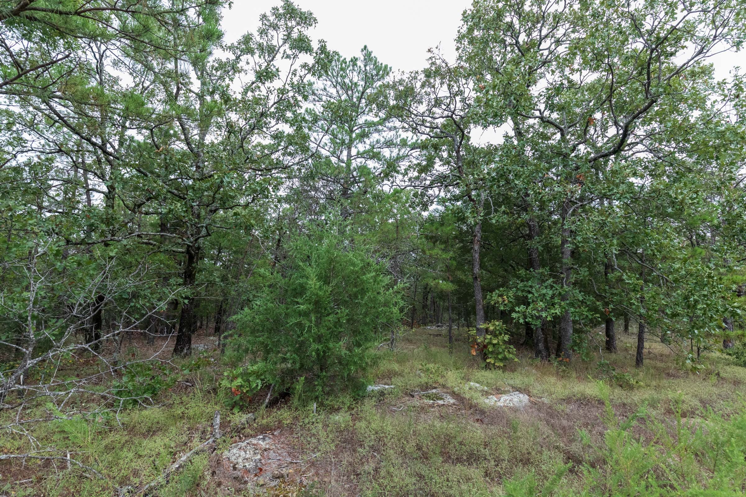 Stone Bridge Phase V Tract 327 photo 7