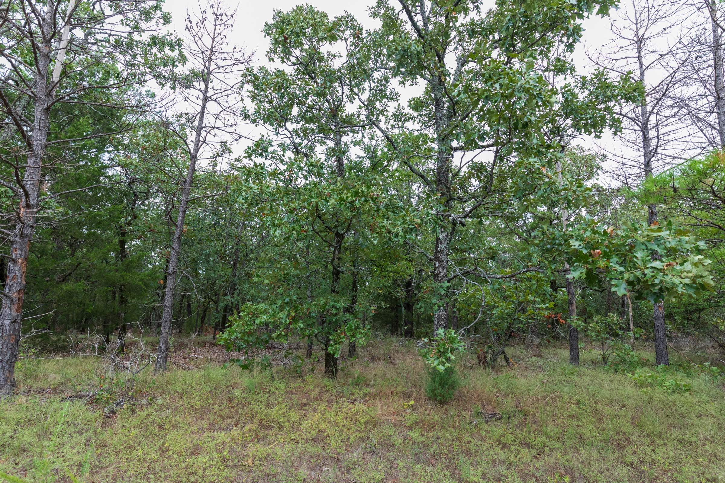 Stone Bridge Phase V Tract 327 photo 6