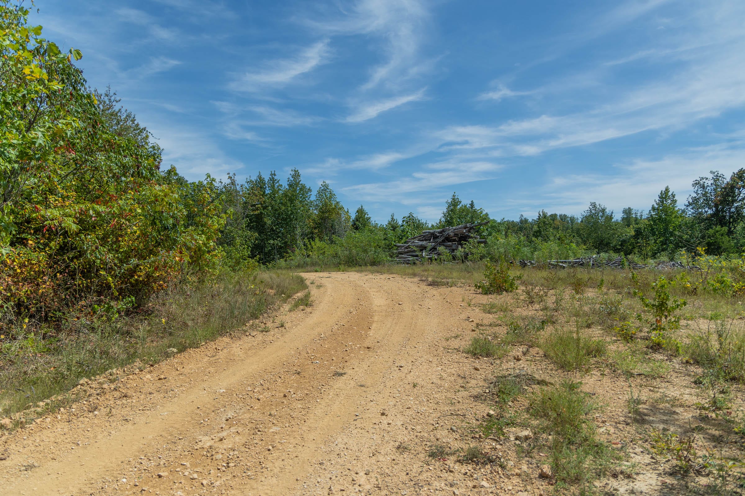 Big White Oak Tract 13 photo 5