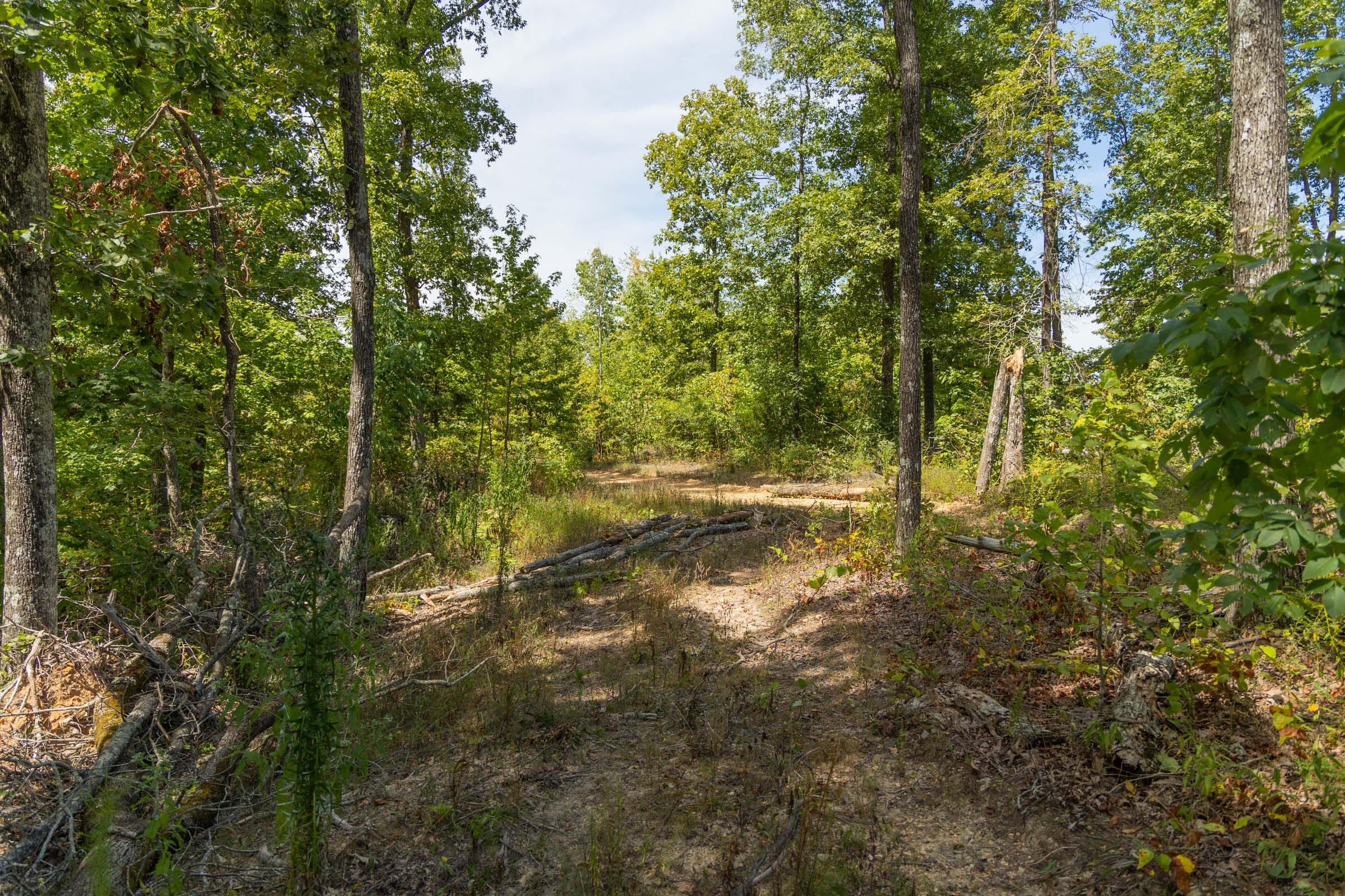 Big White Oak Tract 56 photo 5