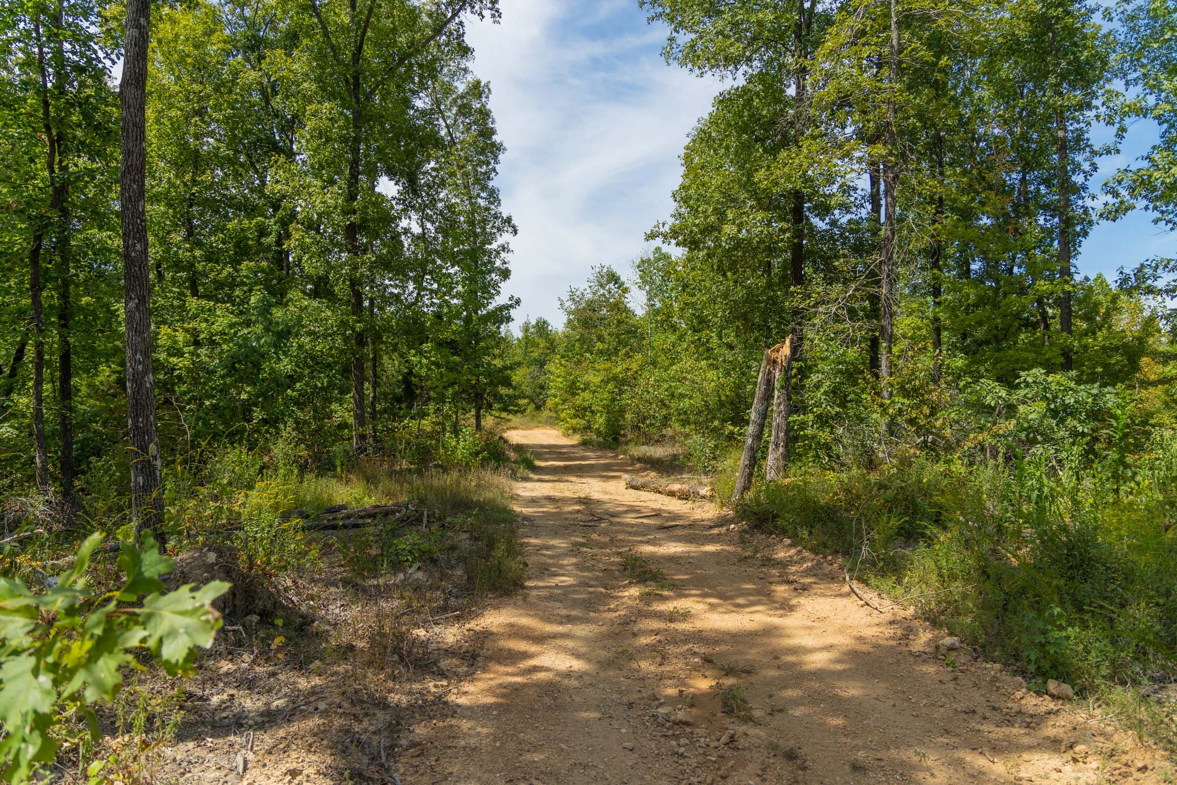 Big White Oak Tract 13 photo 9