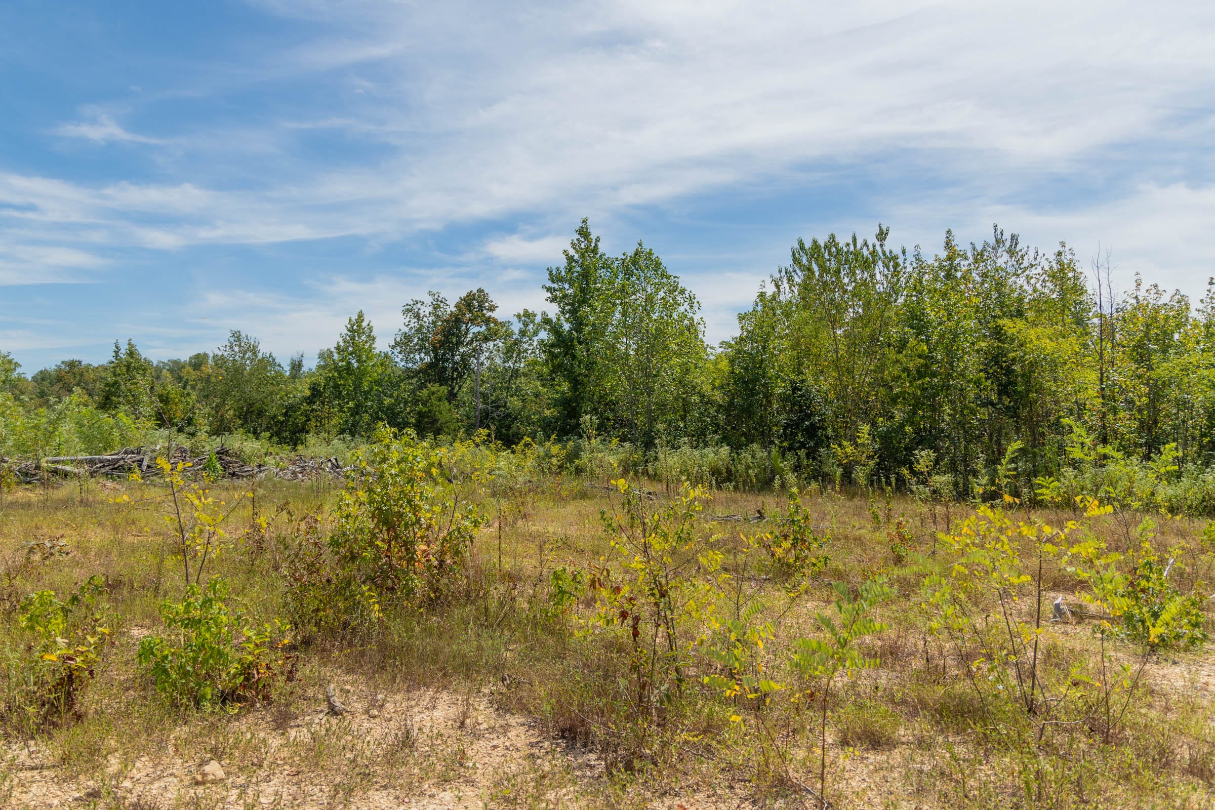 Big White Oak Tract 56 photo 6