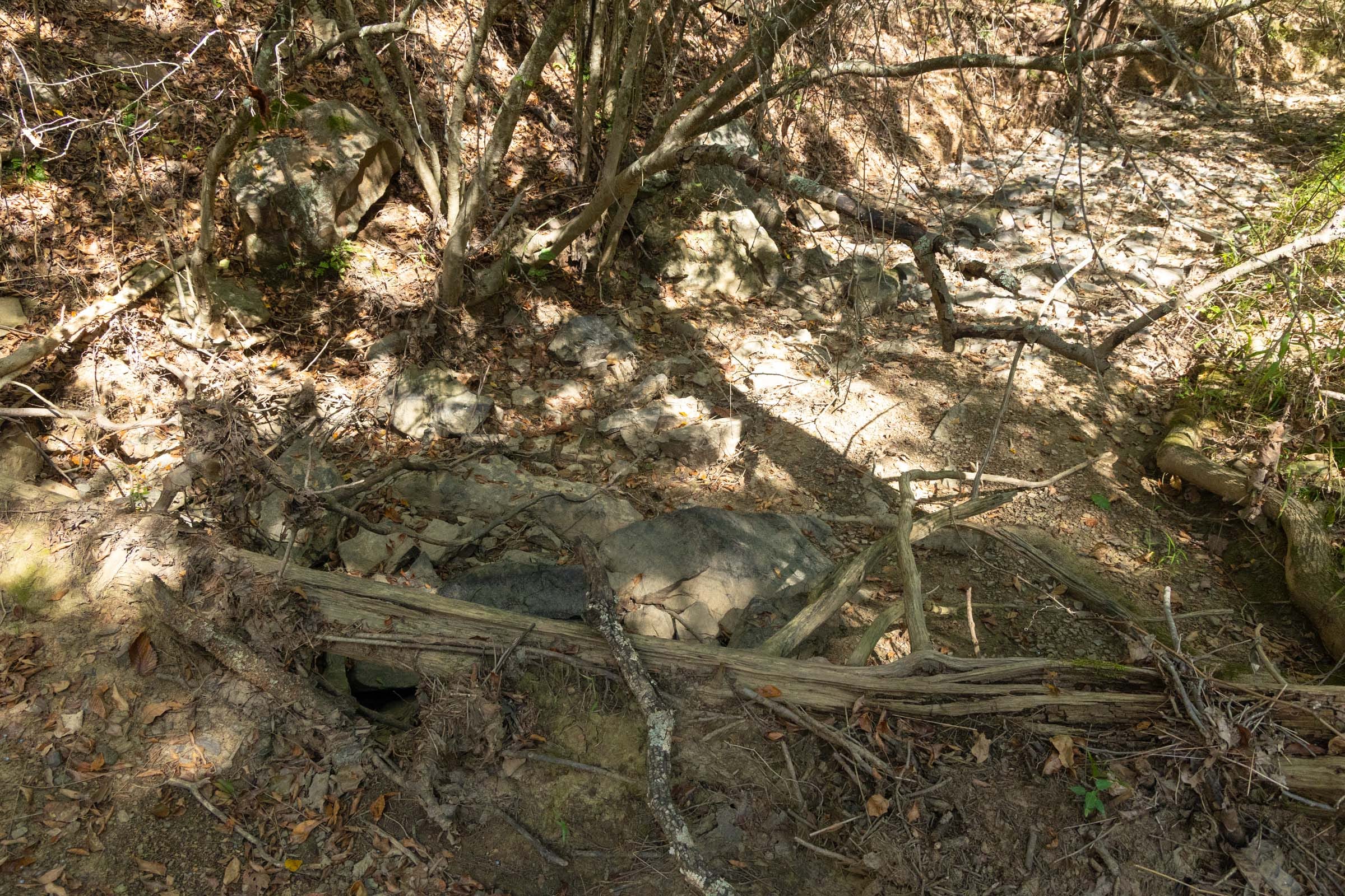 Reserves At Cattail Cove Phase II Tract 72 photo 16