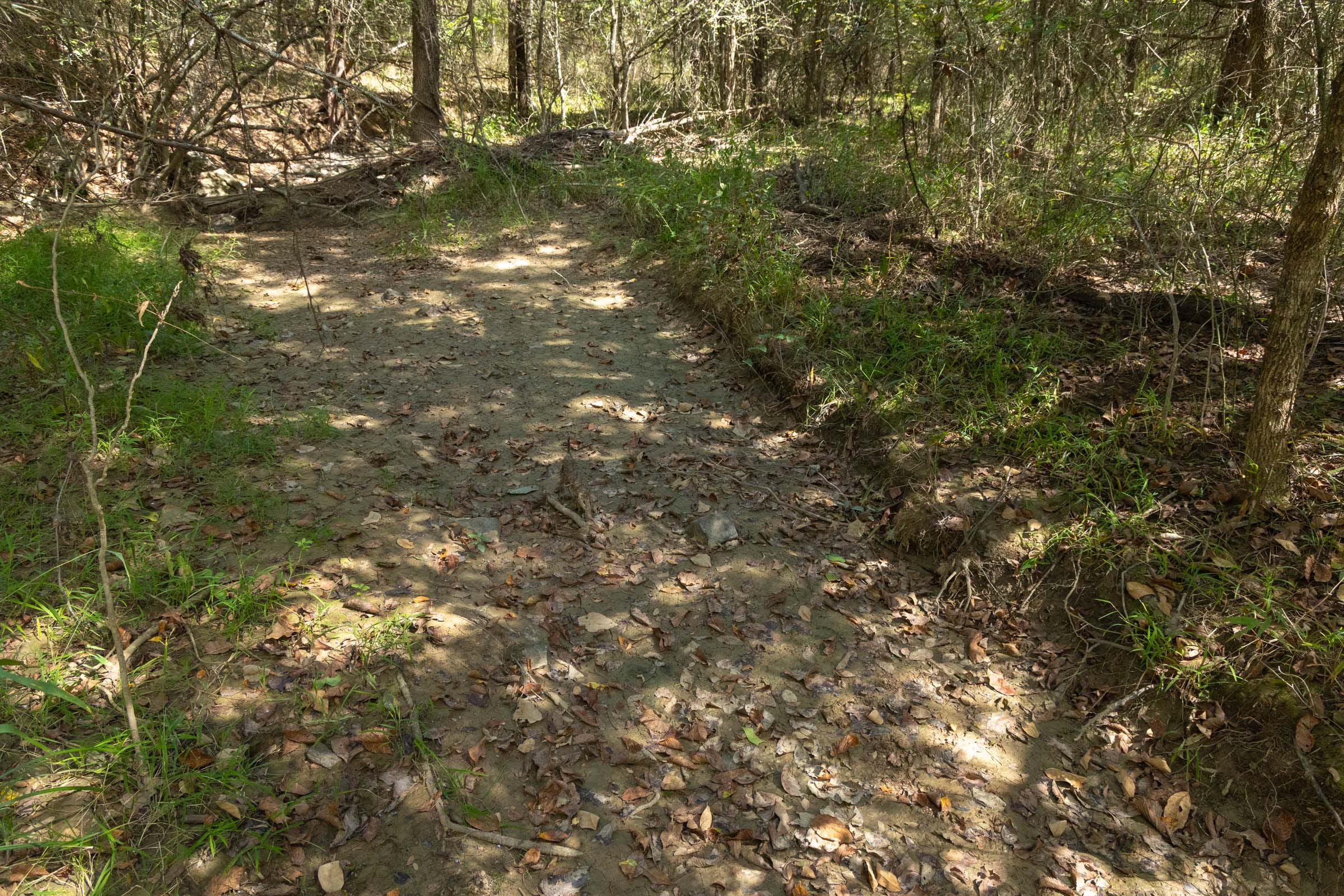 Reserves At Cattail Cove Phase II Tract 72 photo 12