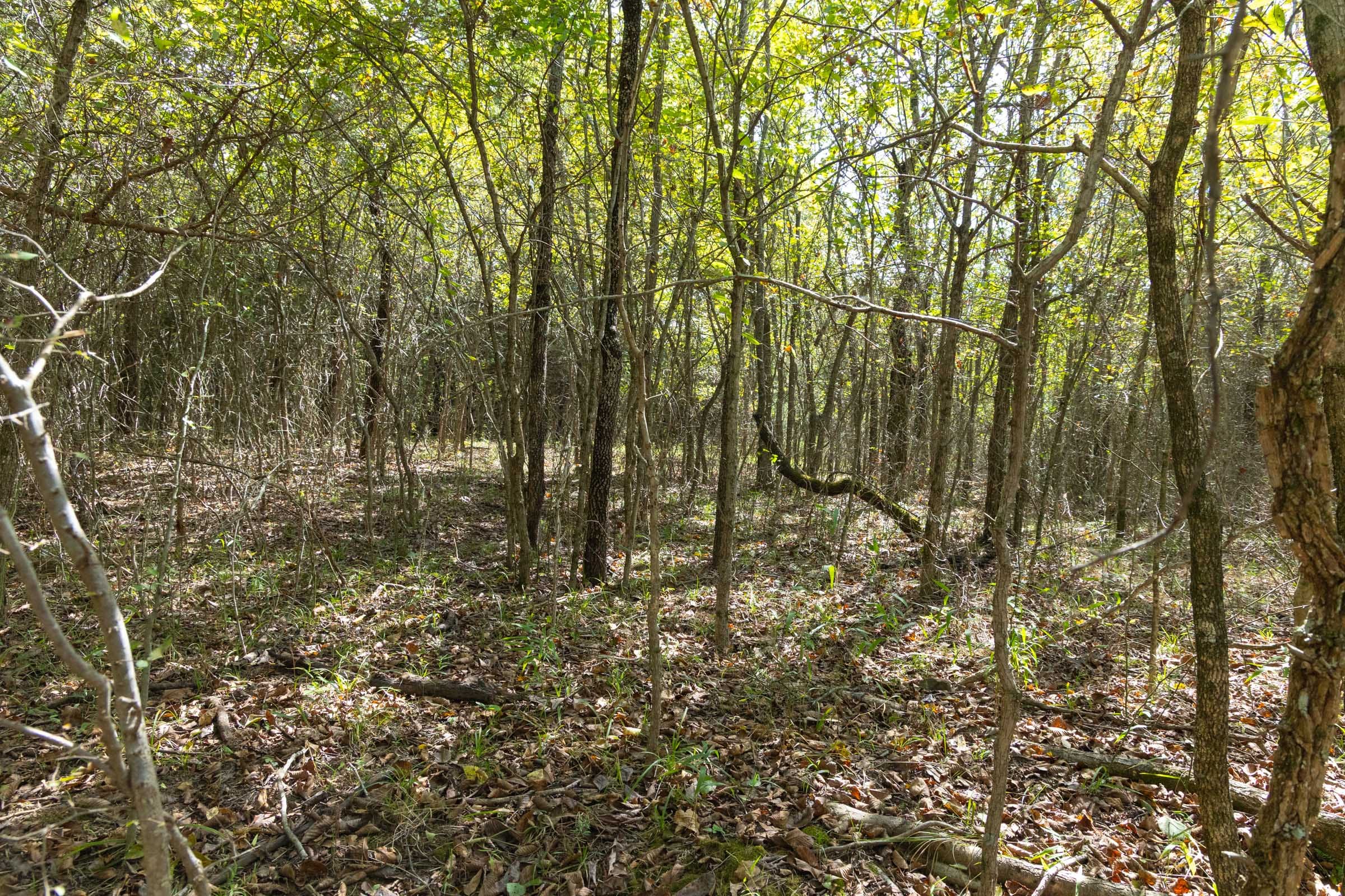 Reserves At Cattail Cove Phase II Tract 72 photo 5