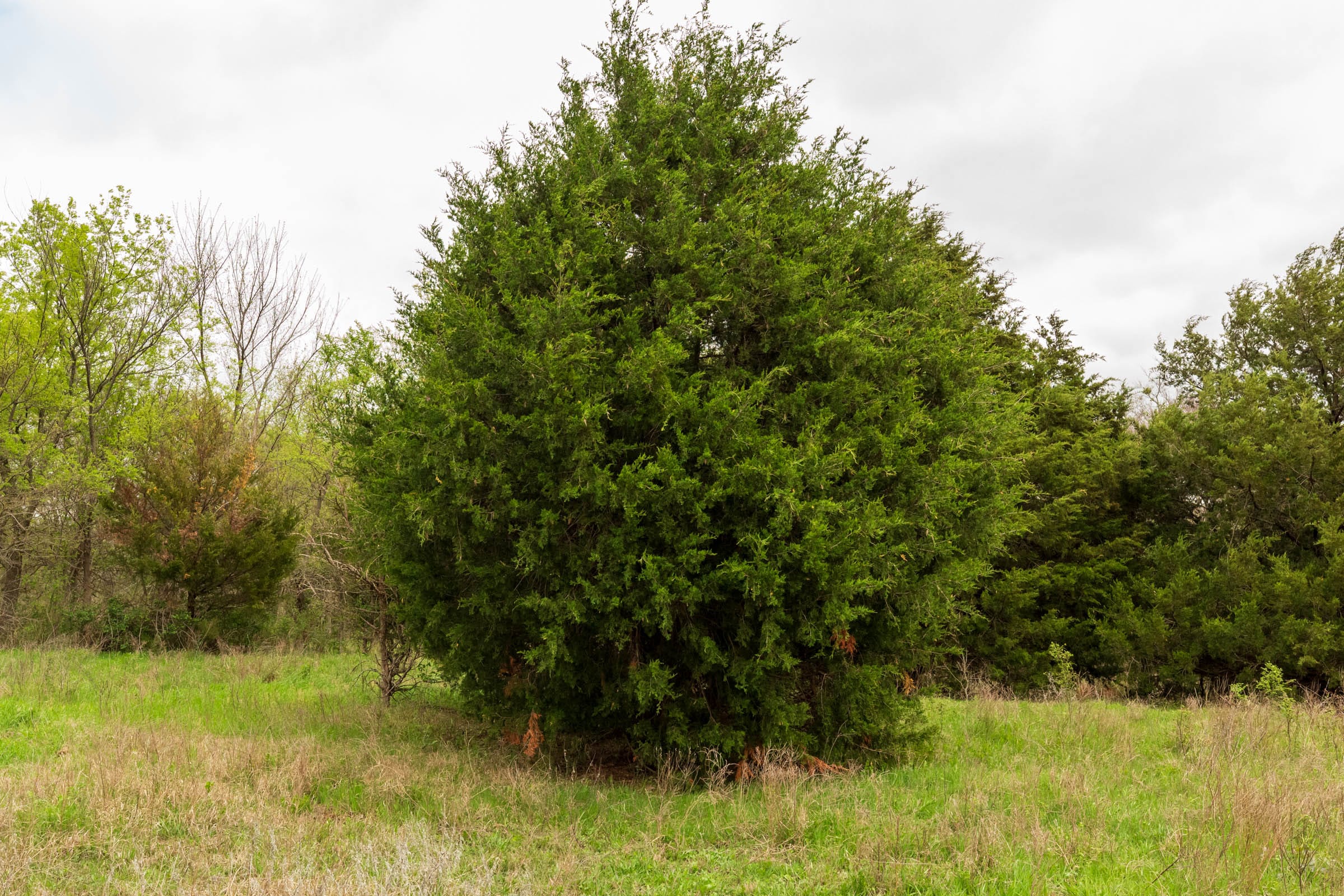 Moonrise Meadows Tract 20 photo 7