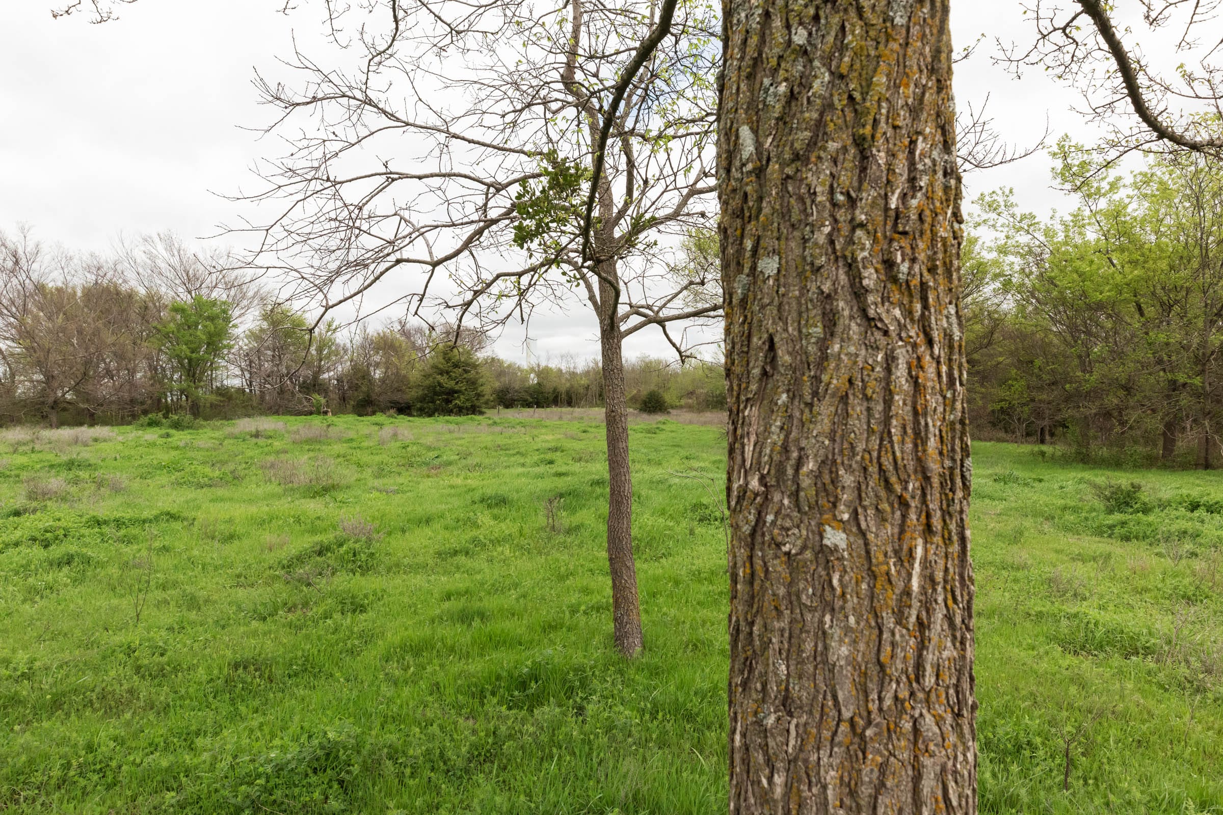 Moonrise Meadows Tract 20 photo 3