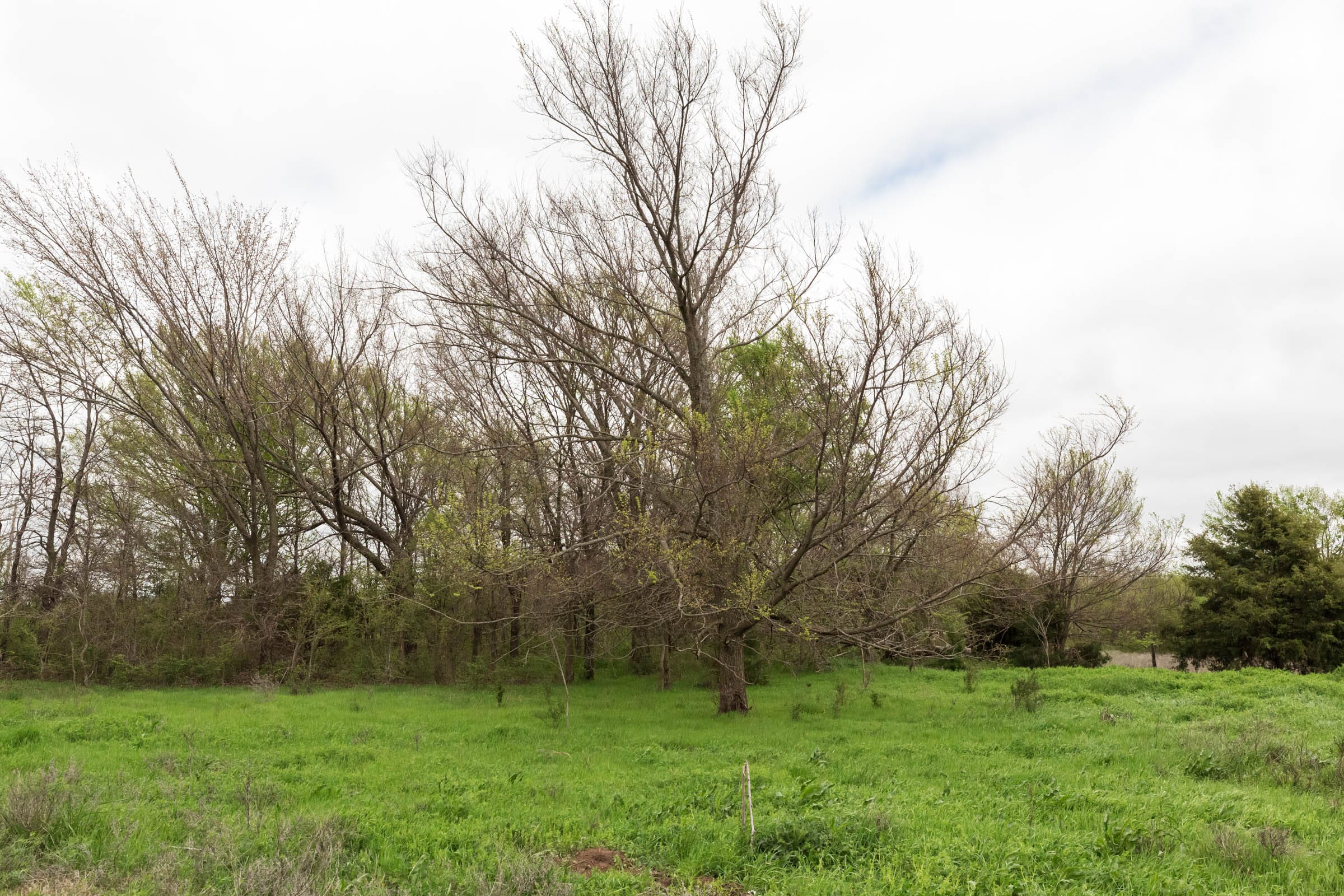Moonrise Meadows Tract 20 photo 8