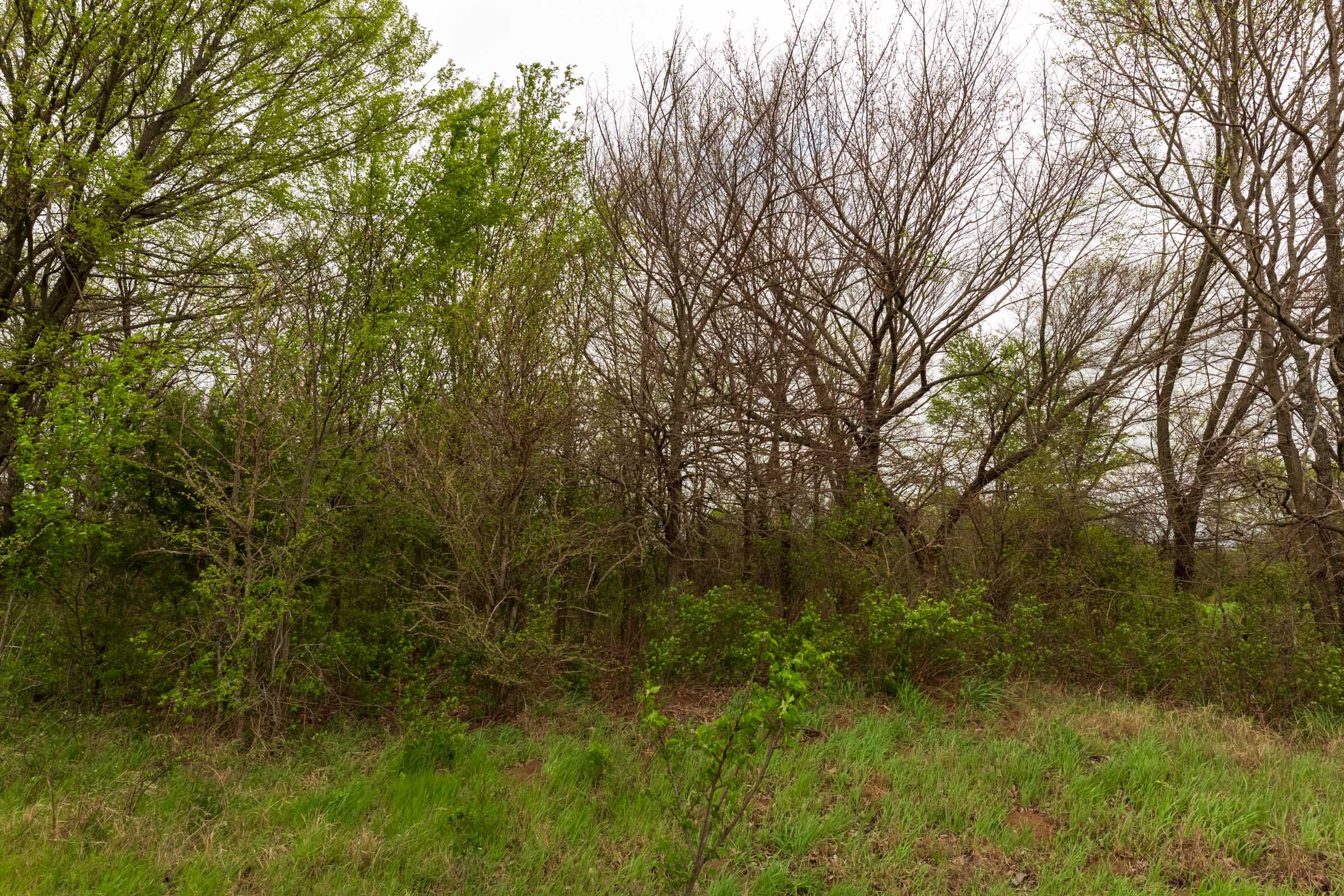 Moonrise Meadows Tract 20 photo 14
