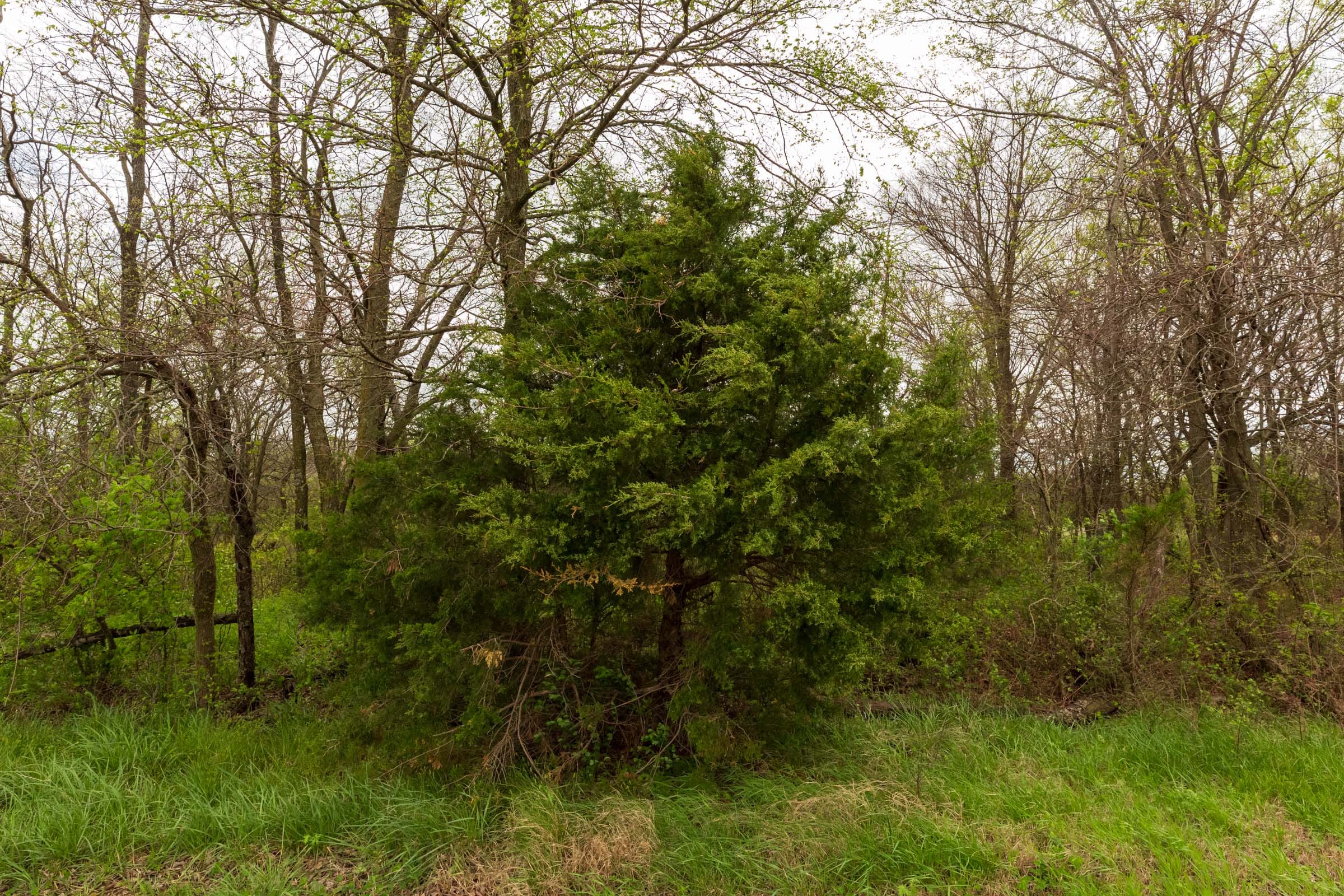 Moonrise Meadows Tract 20 photo 21