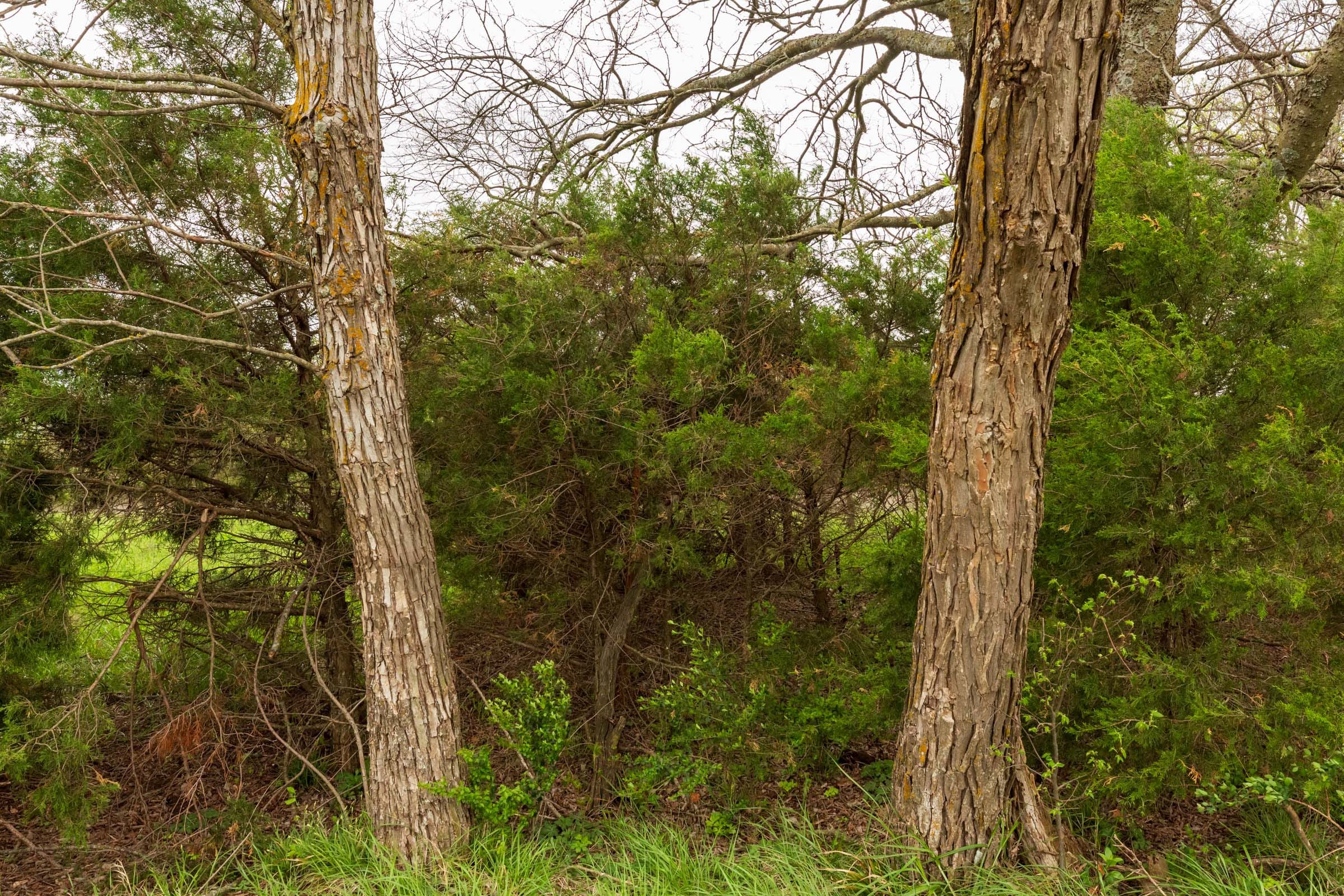 Moonrise Meadows Tract 20 photo 9