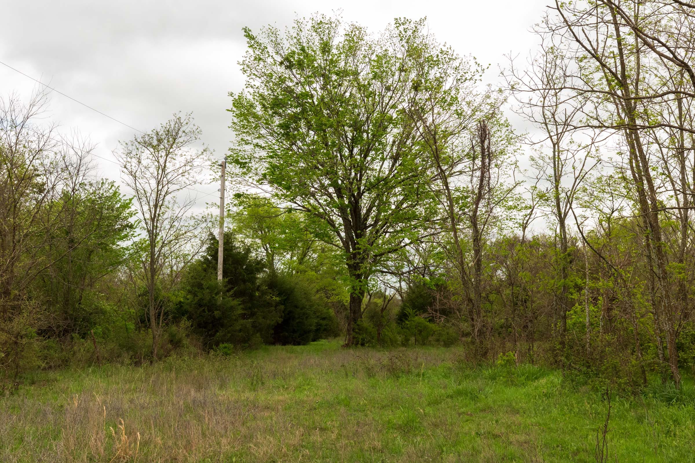 Moonrise Meadows Tract 20 photo 16