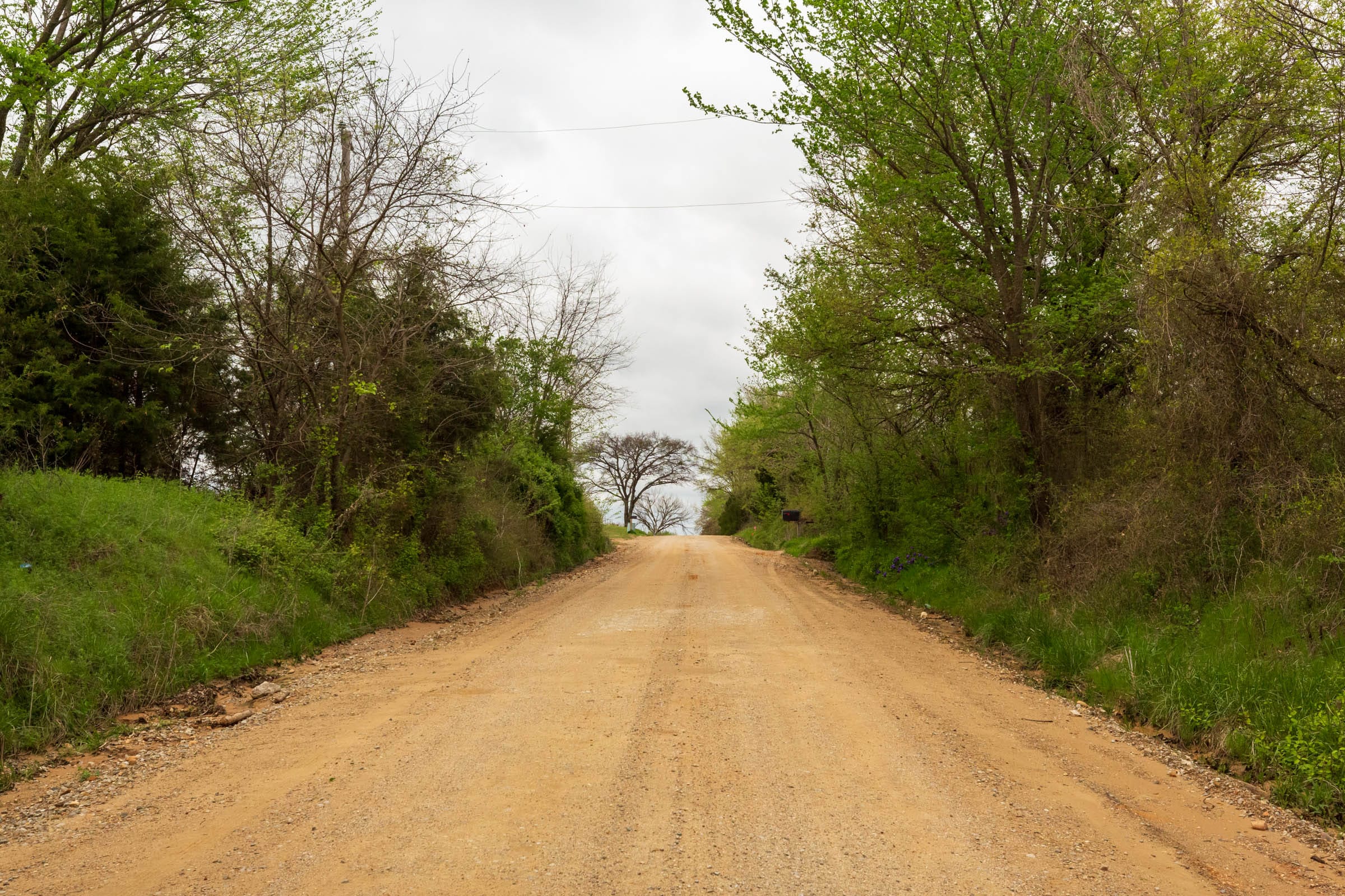 Moonrise Meadows Tract 20 photo 6