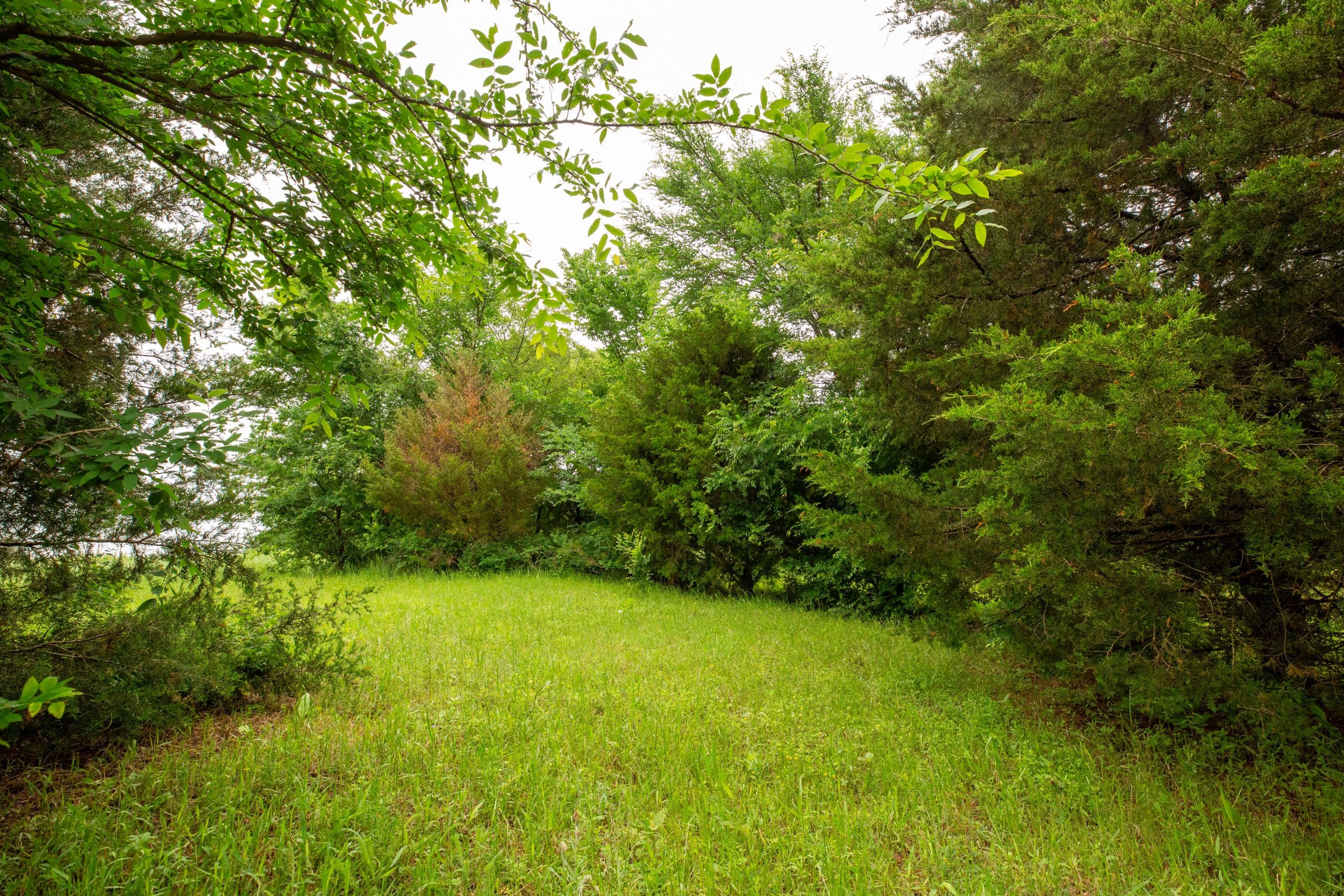 Moonrise Meadows Tract 20 photo 15