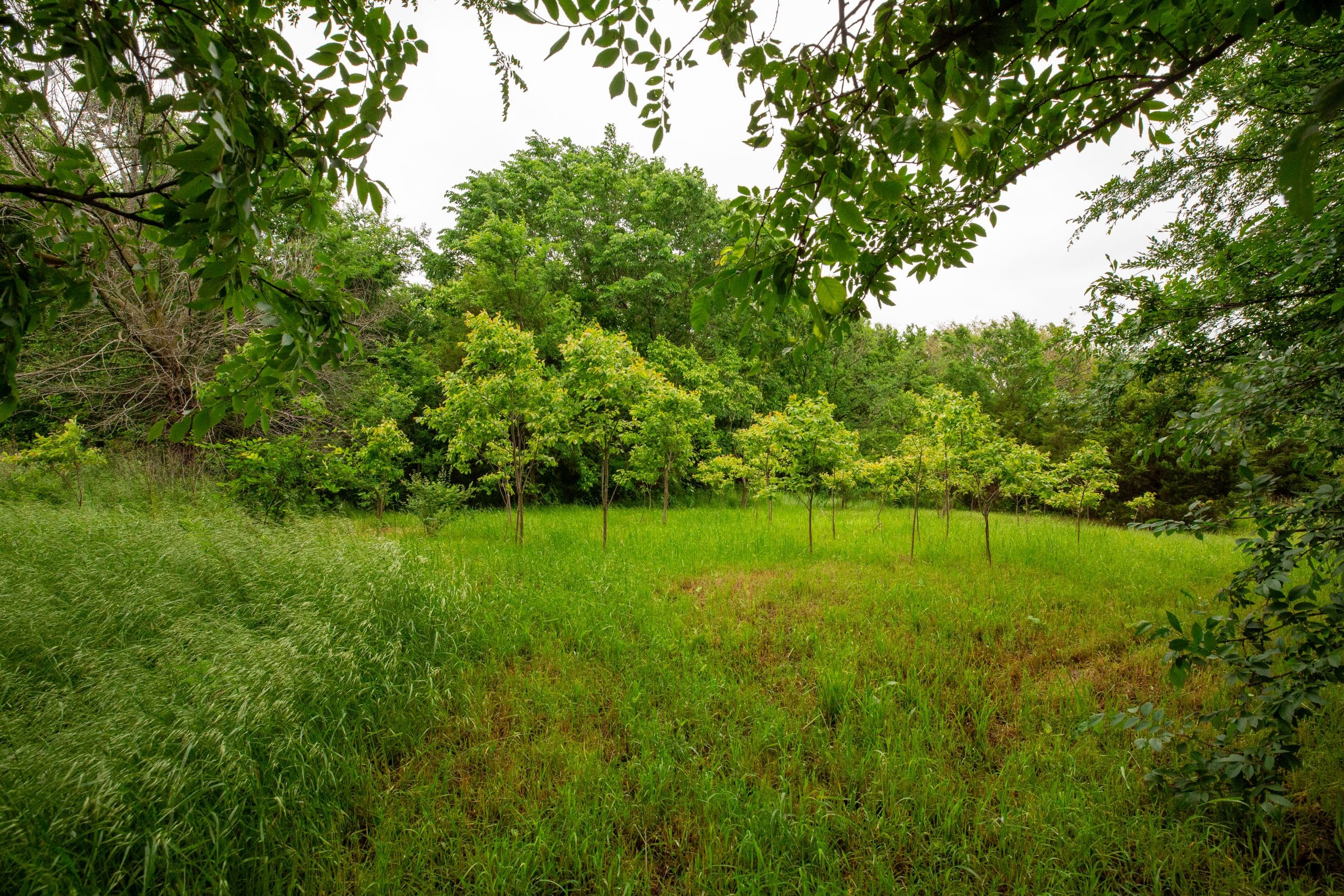 Moonrise Meadows Tract 20 photo 19