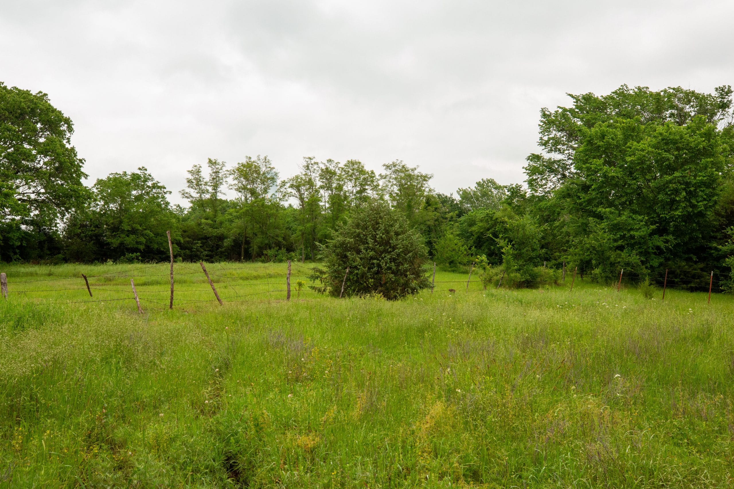 Moonrise Meadows Tract 20 photo 23