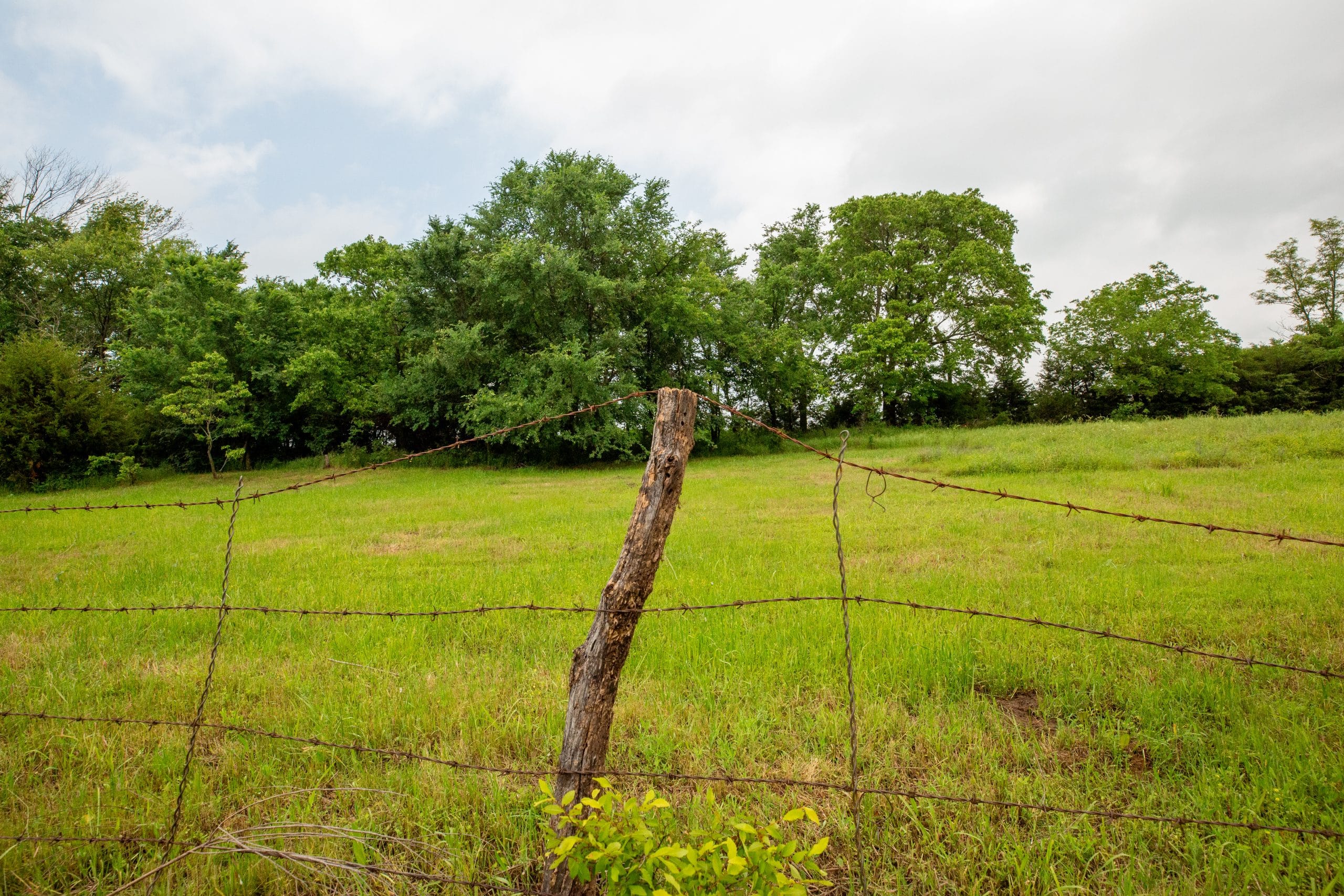 Moonrise Meadows Tract 20 photo 2