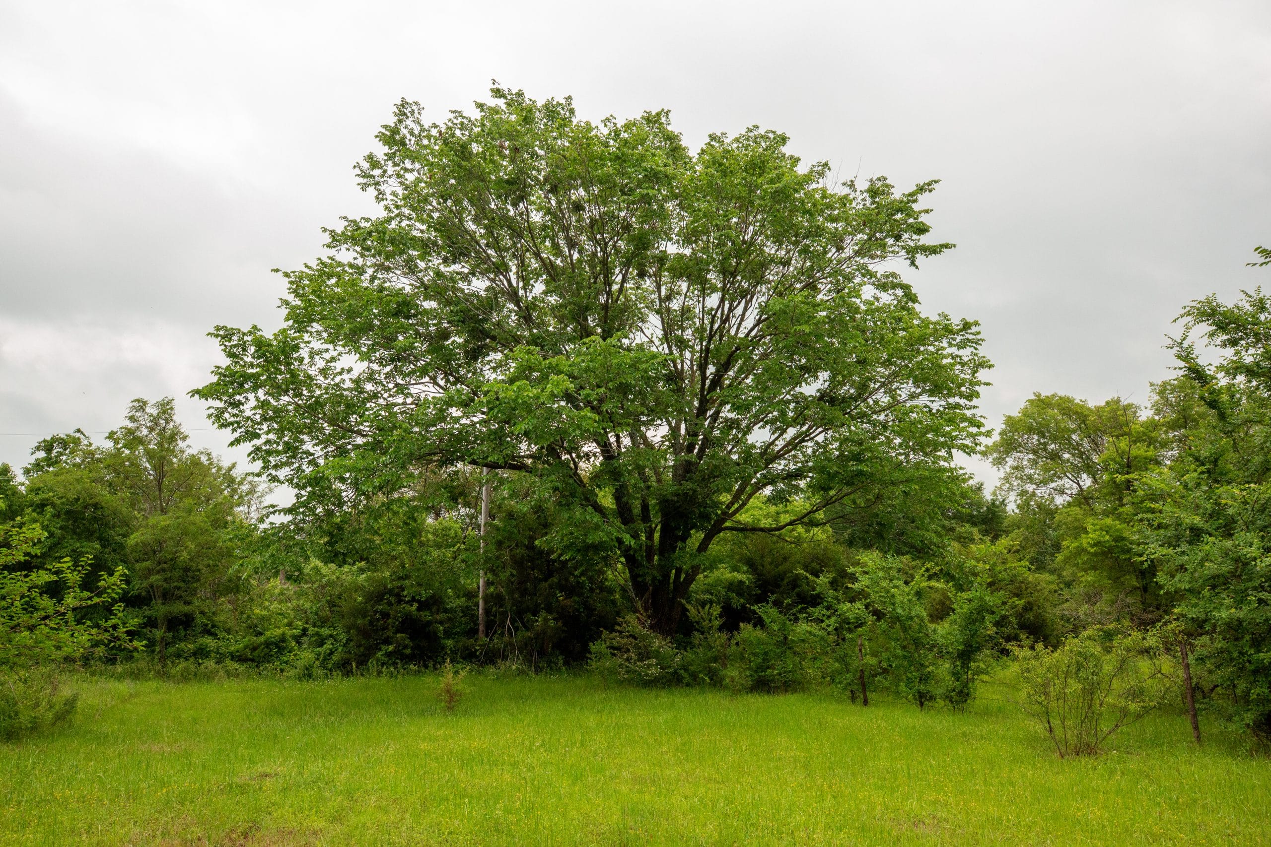Moonrise Meadows Tract 20 photo 25