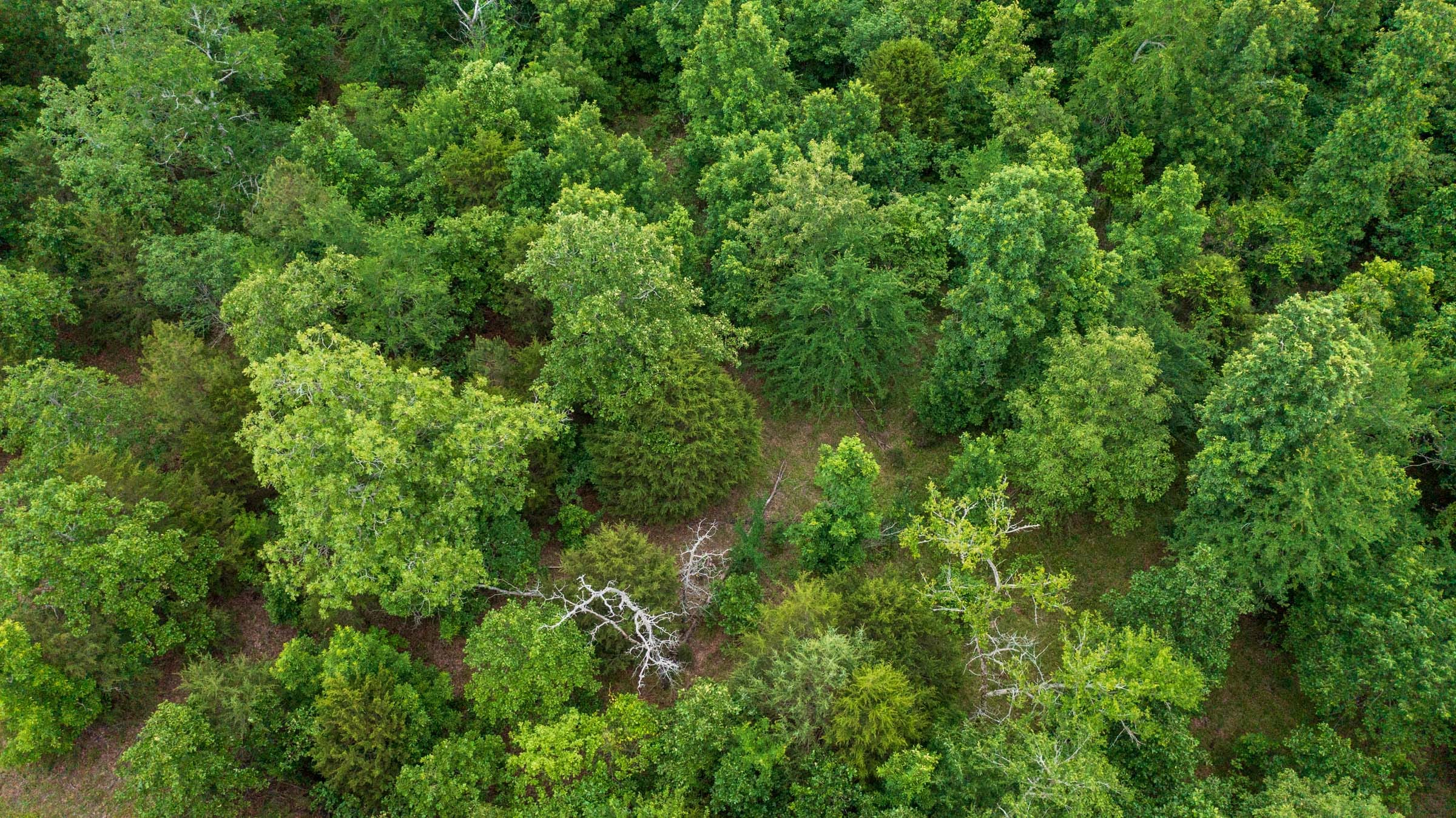 Falcon Crest Tract 19 photo 2